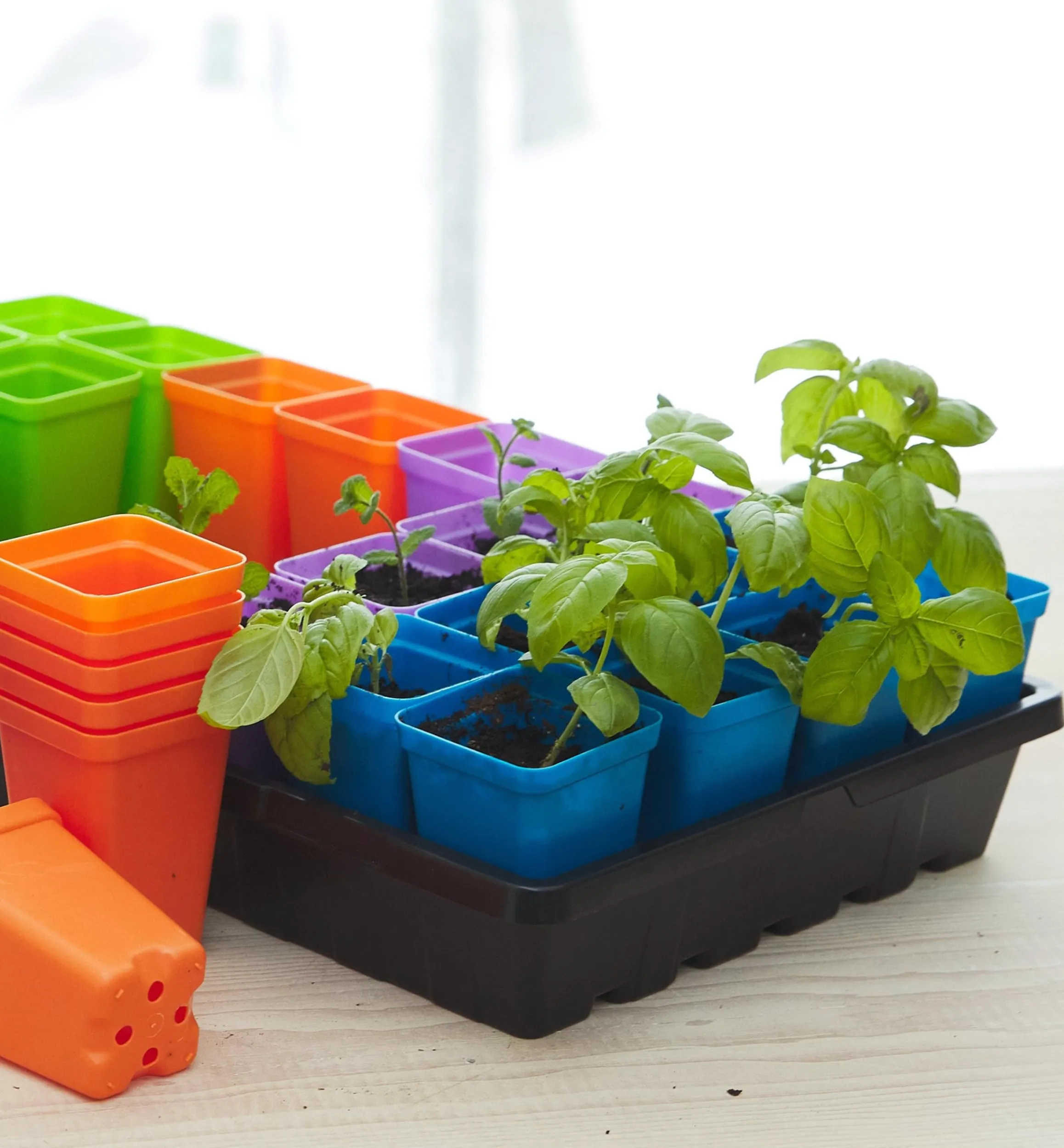 Lee Valley Seed Starting>2 1/2" Multicolor Pots