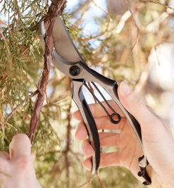 Lee Valley Pruners><noscript><img width=
