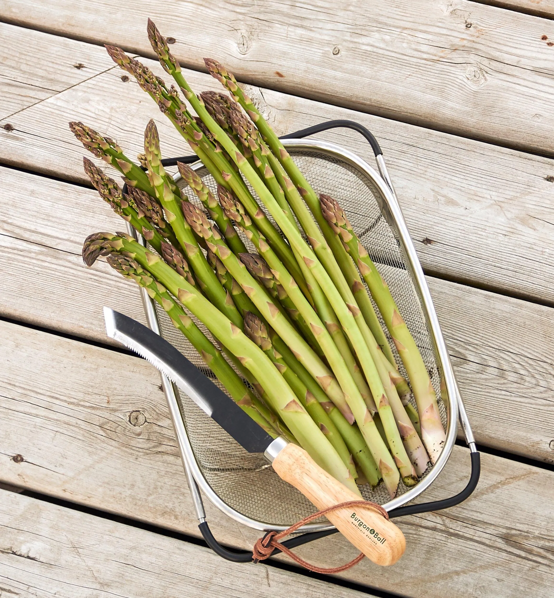 Lee Valley Harvesting>Asparagus/Harvest Knife