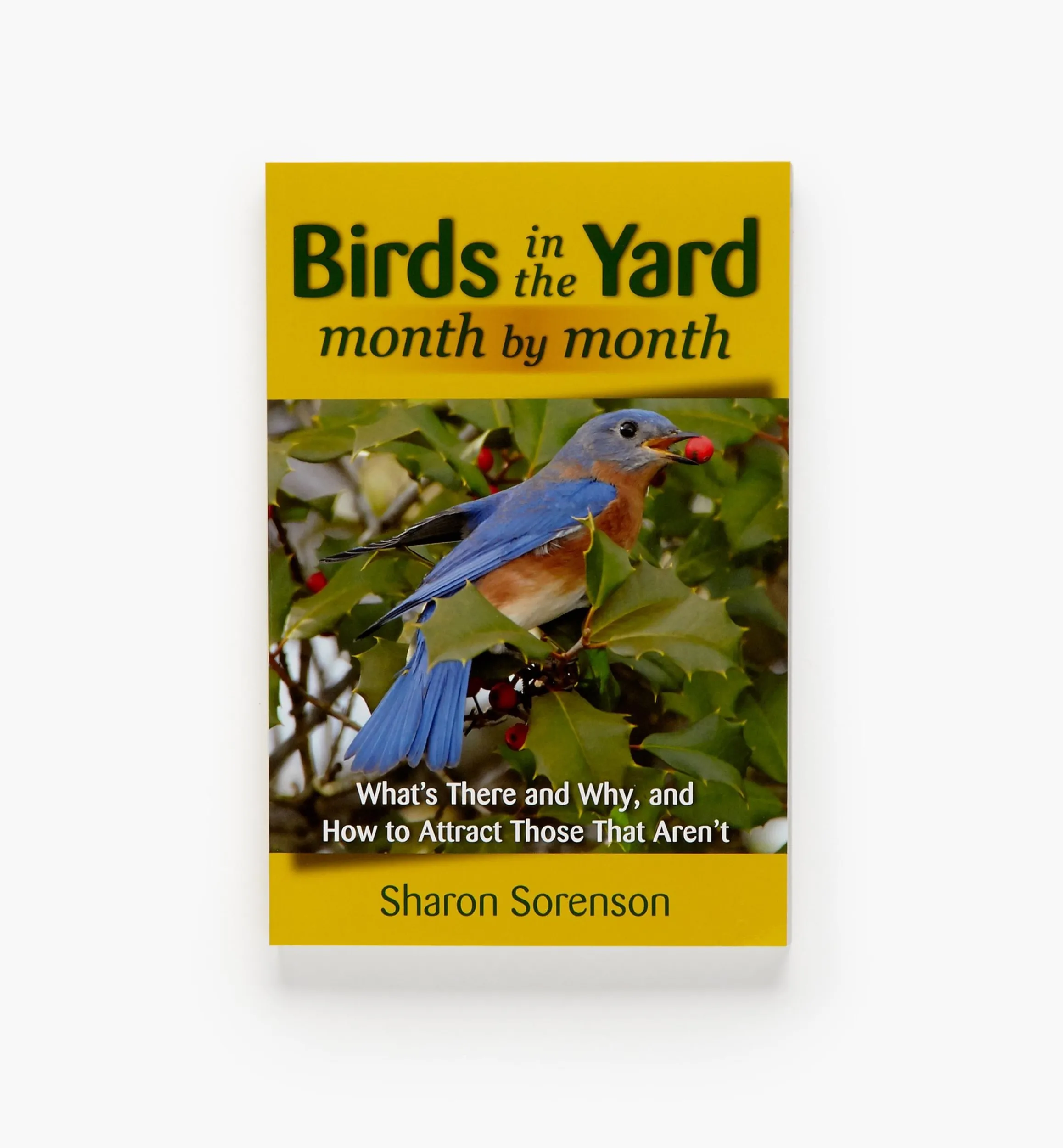 Lee Valley Birding>Birds In The Yard Month By Month