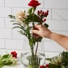 Lee Valley Indoor Gardening>Blue Ribbon Flower Holder