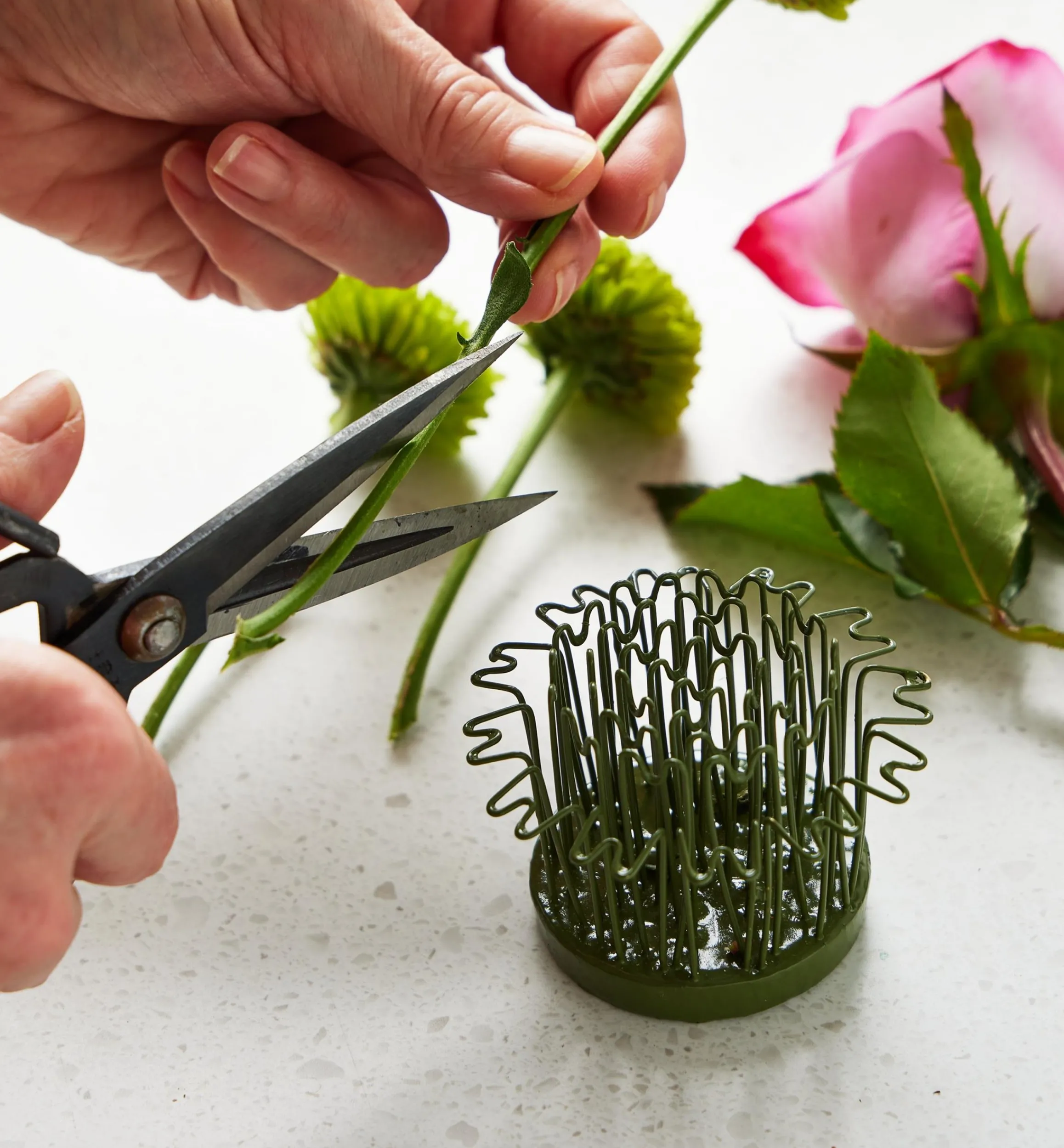 Lee Valley Indoor Gardening>Blue Ribbon Flower Holder