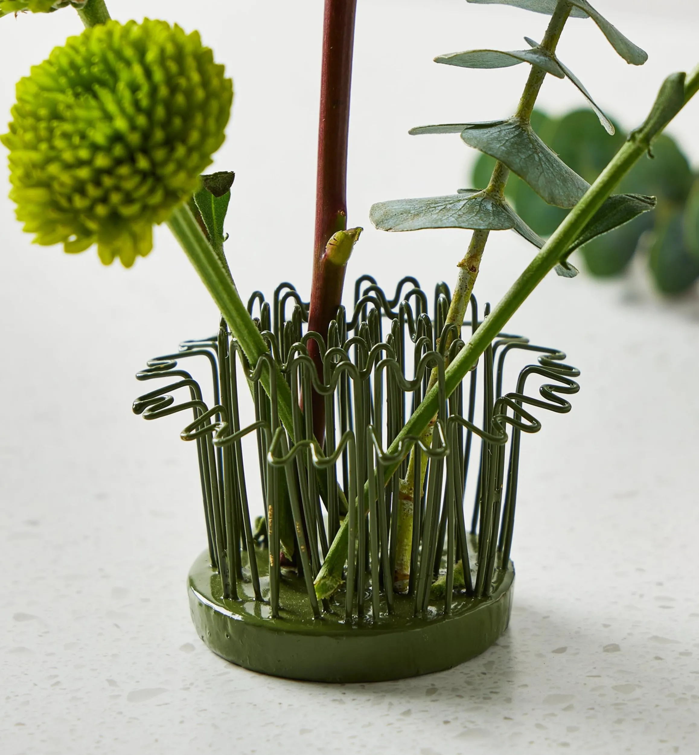 Lee Valley Indoor Gardening>Blue Ribbon Flower Holder