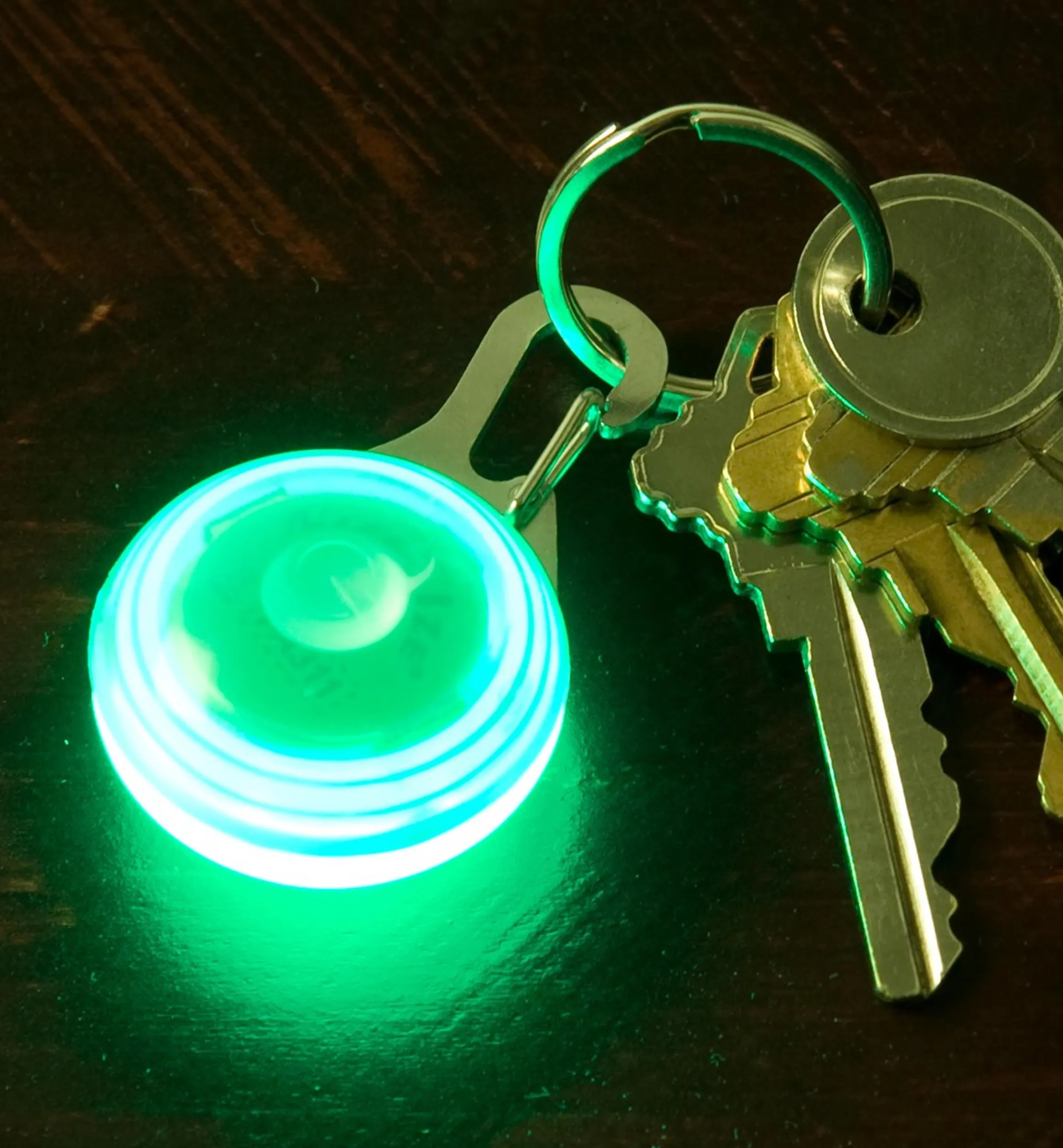 Lee Valley Lighting>Carabiner LED Light