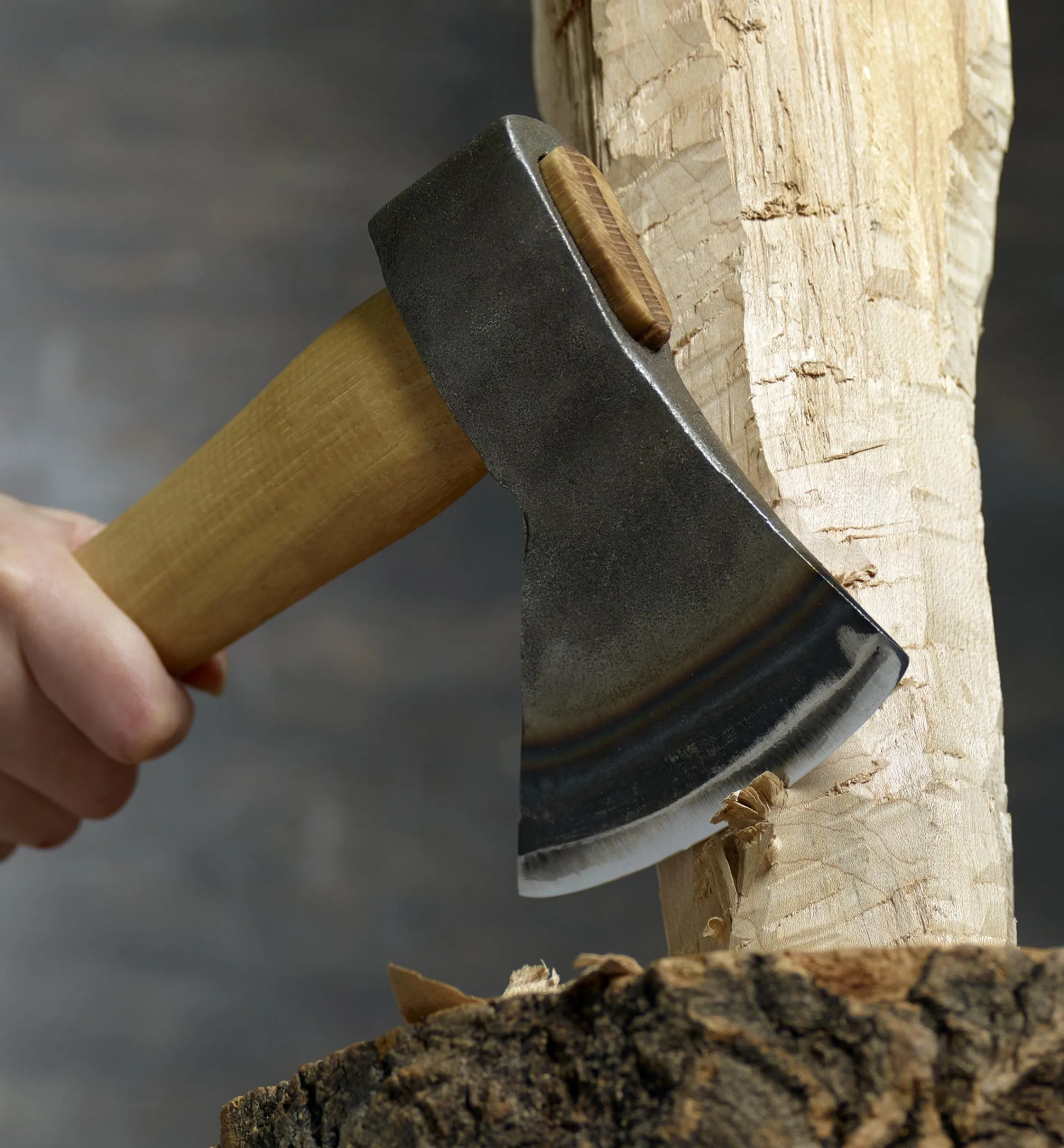 Lee Valley Hand Tools>Carving Axe