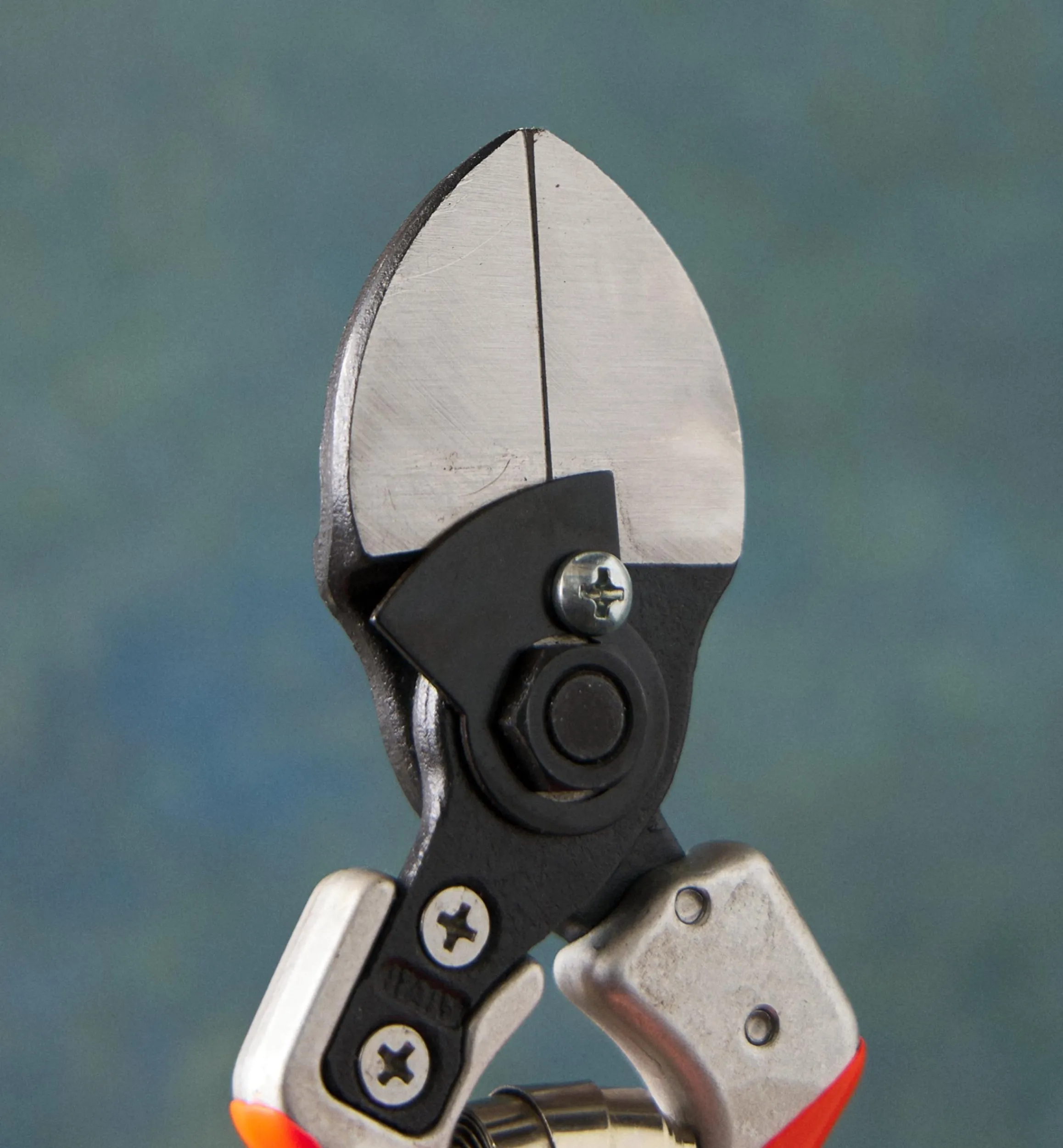 Lee Valley Pruners>Castellari Double-Bladed Pruner