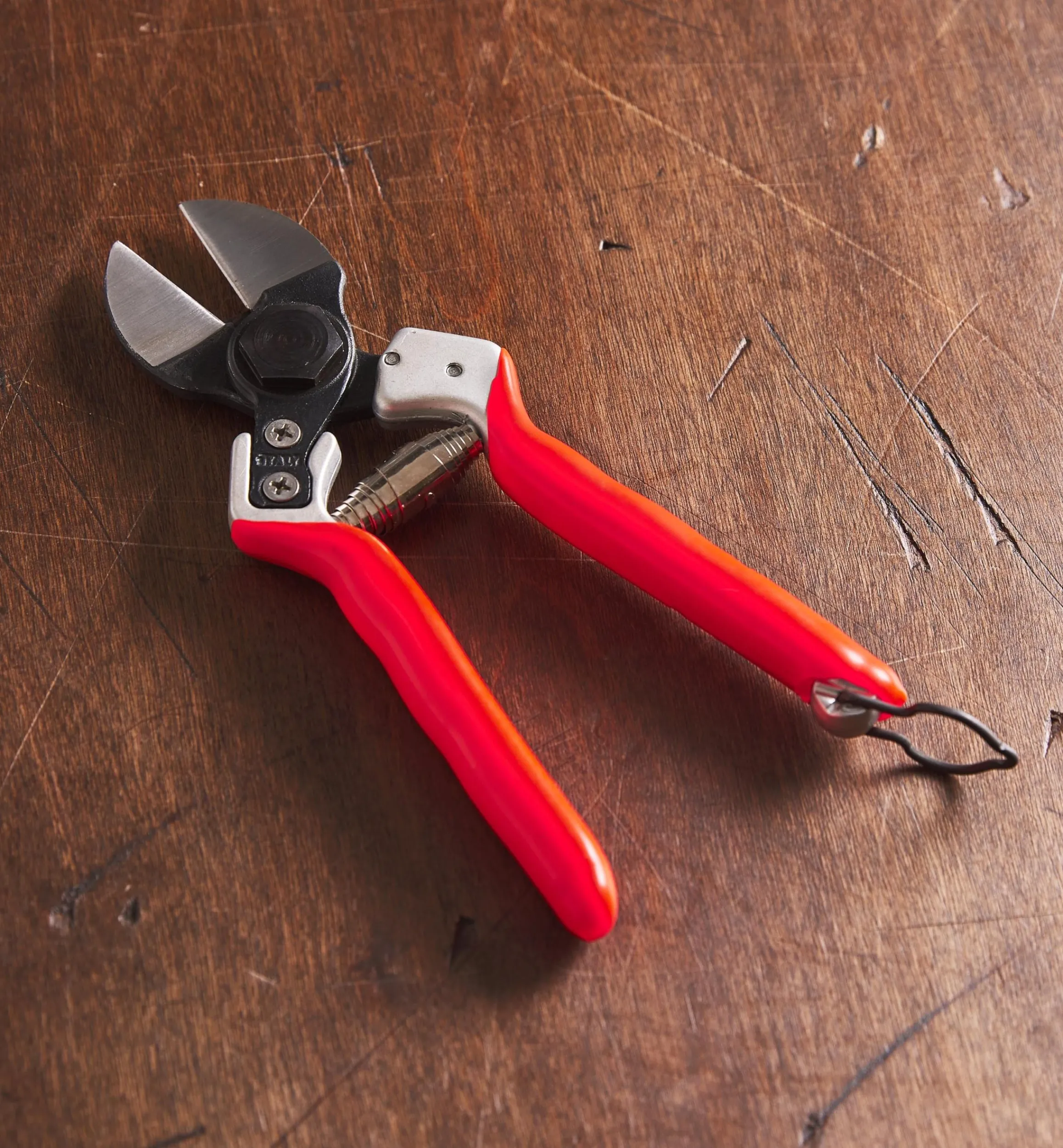Lee Valley Pruners>Castellari Double-Bladed Pruner