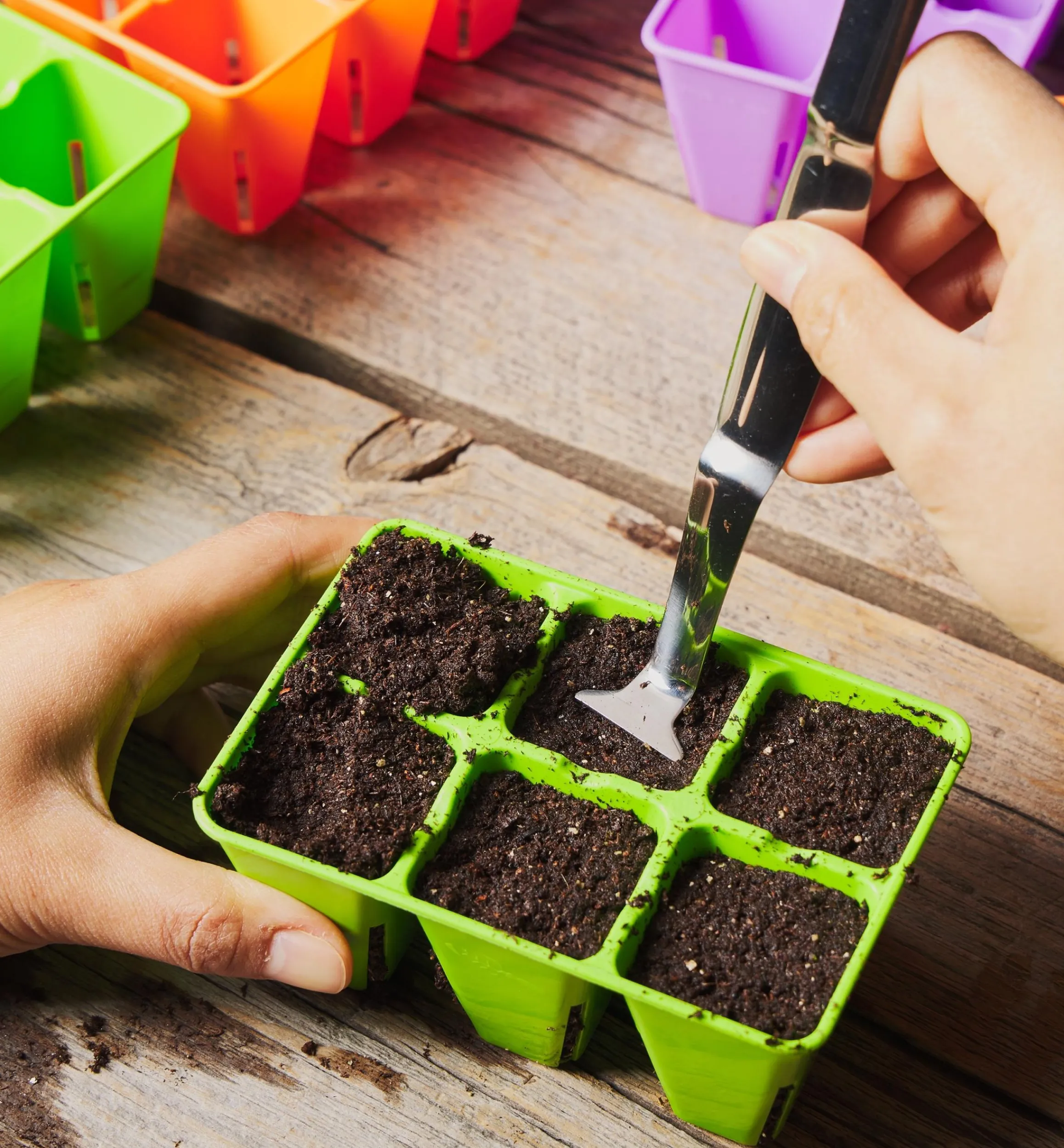 Lee Valley Seed Starting>72-Cell Modular Air-Pruning Seed Starter