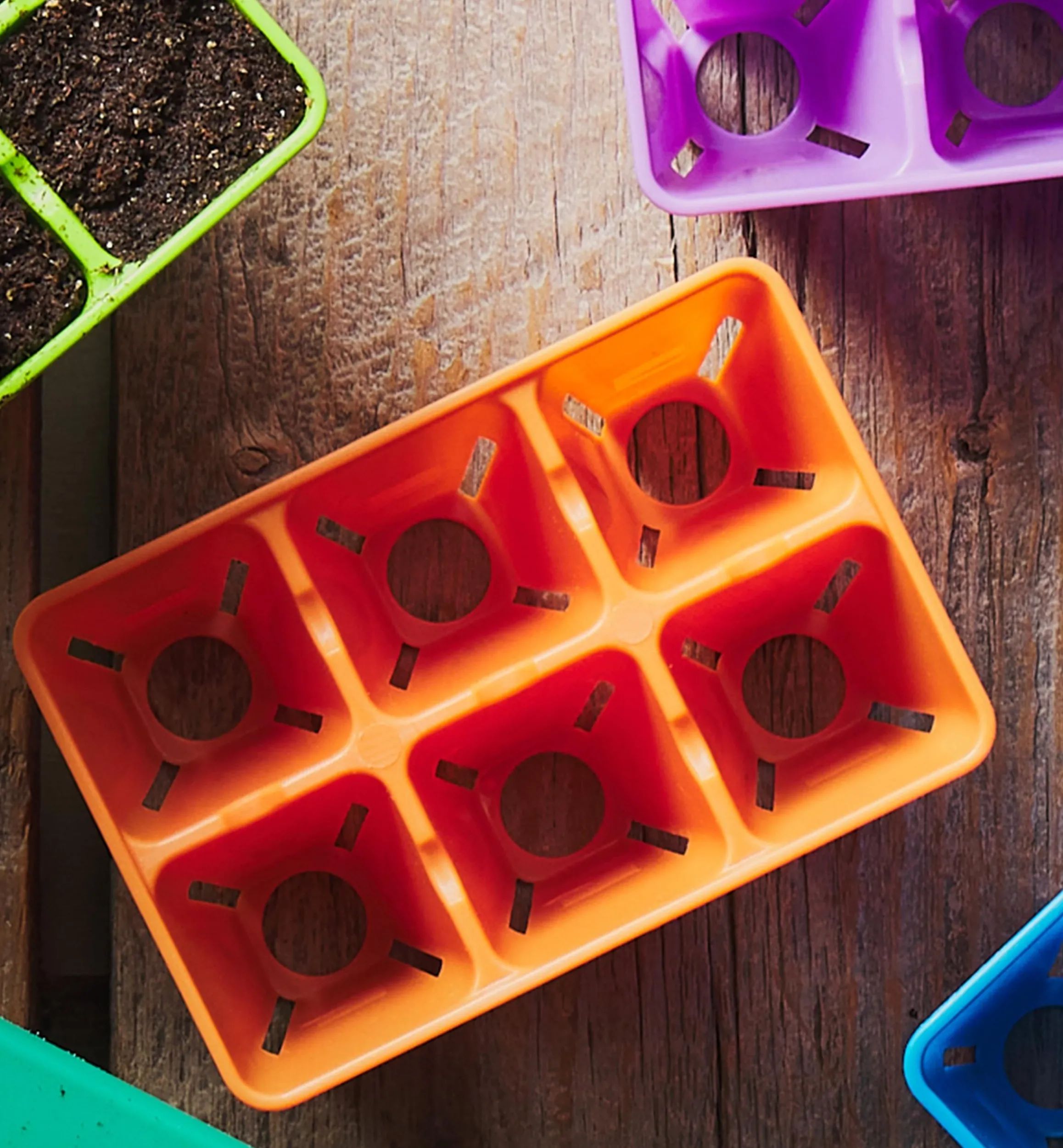 Lee Valley Seed Starting>72-Cell Modular Air-Pruning Seed Starter