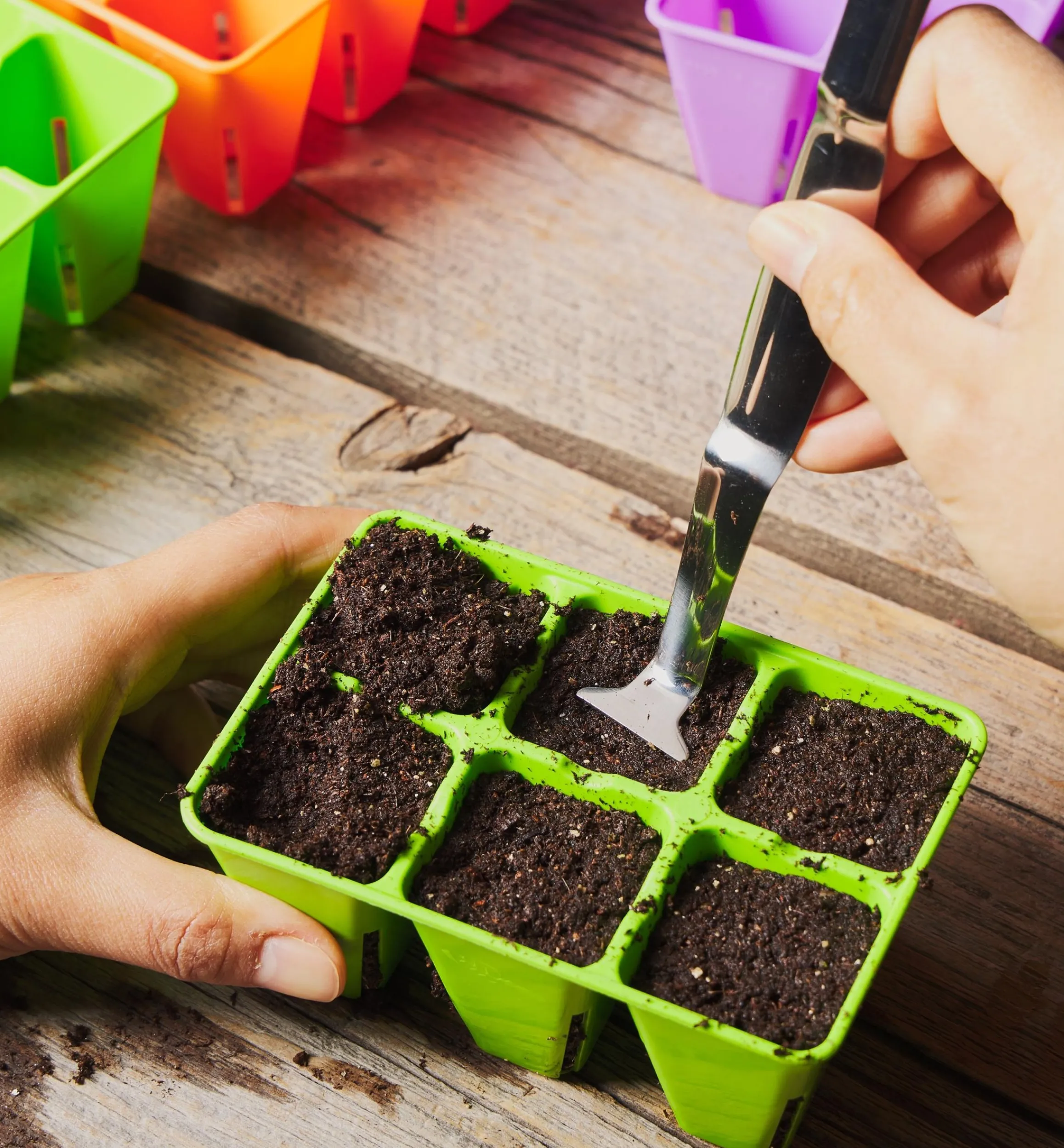 Lee Valley Seed Starting>72-Cell Modular Seed Starter With Propagation Tray