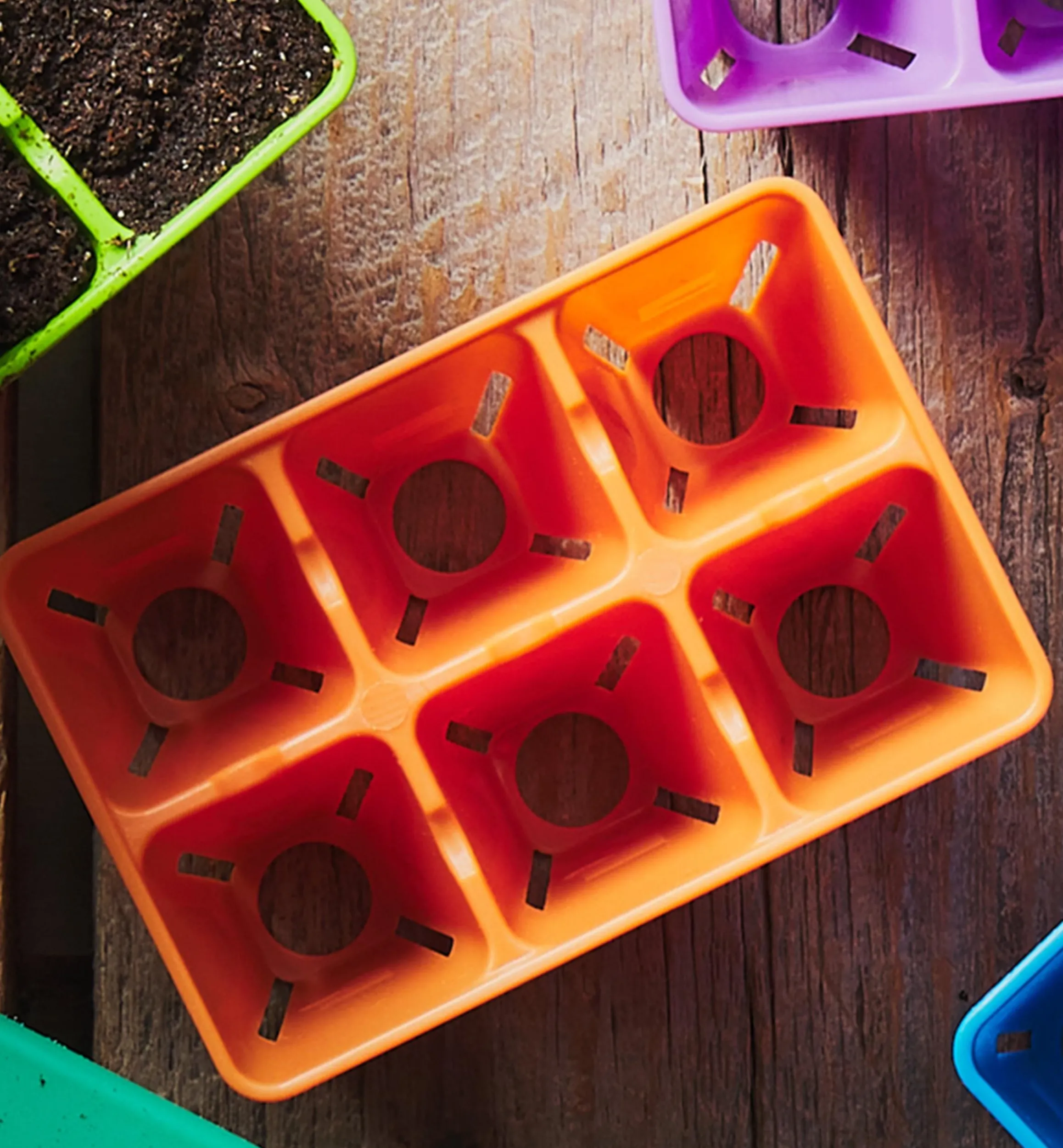 Lee Valley Seed Starting>72-Cell Modular Seed Starter With Propagation Tray