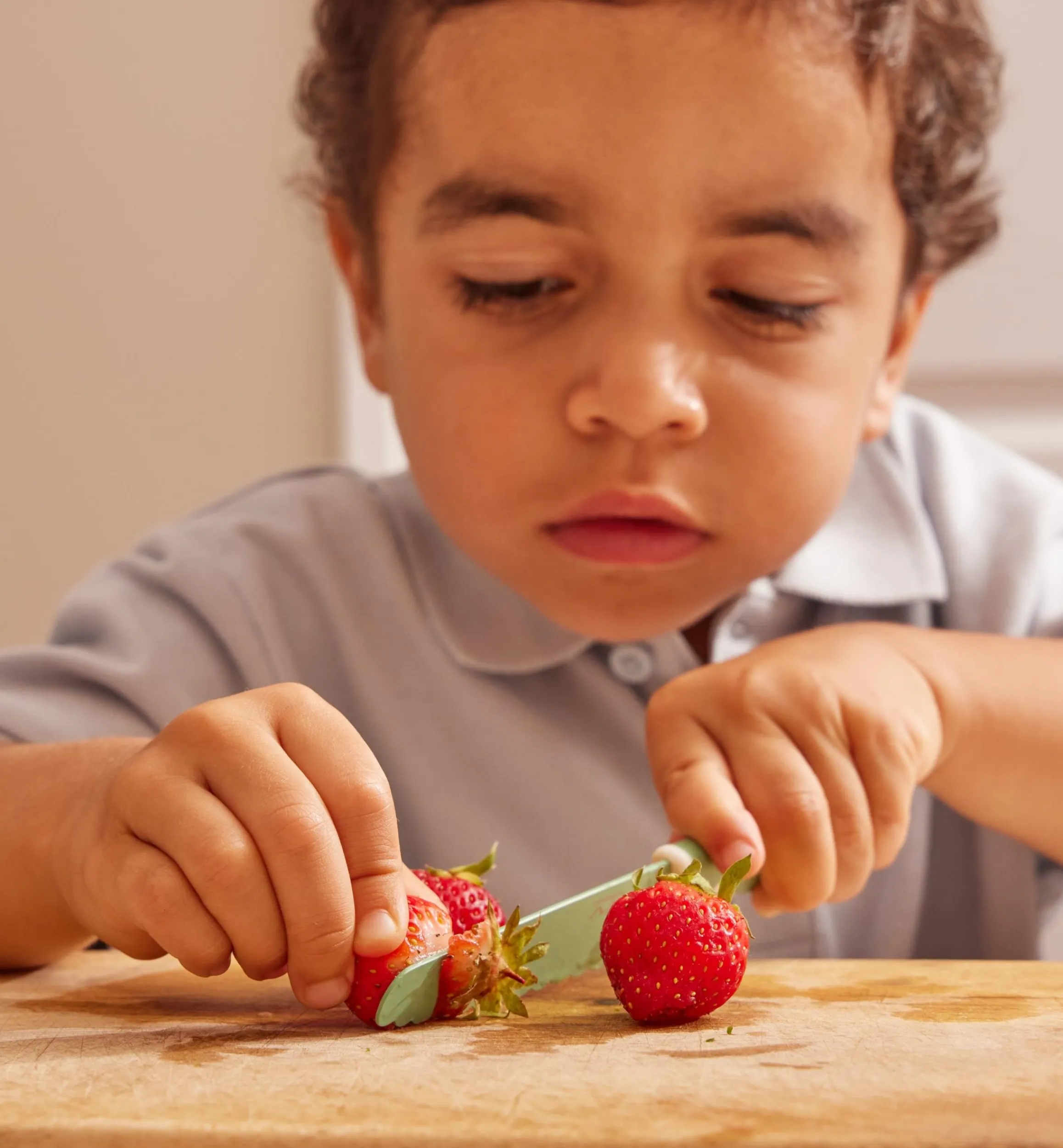 Lee Valley Knives & Cutlery>Child-Safe Knife