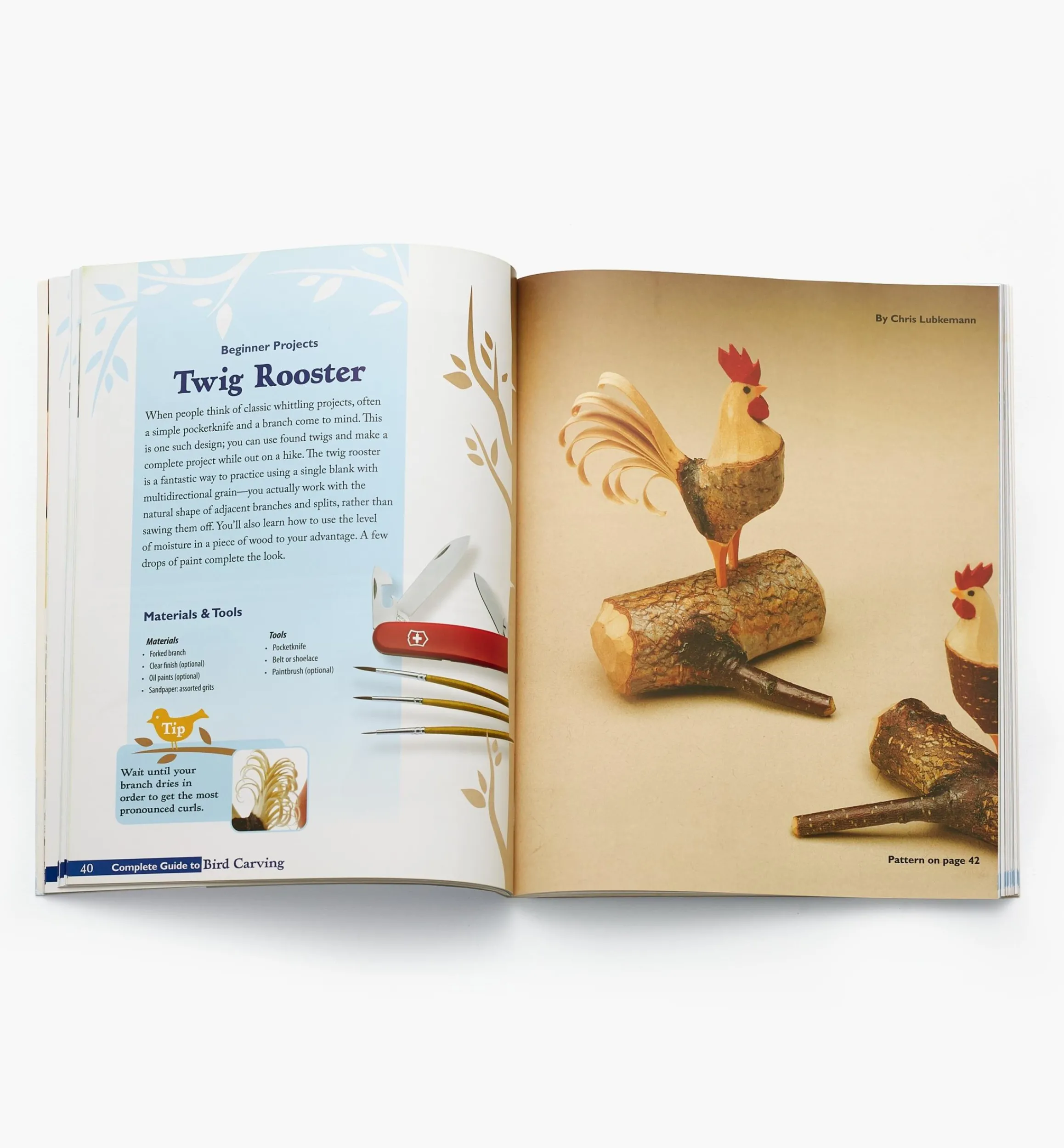 Lee Valley Birding>Complete Guide To Bird Carving