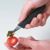 Lee Valley Kitchen Tools>Coring Tool