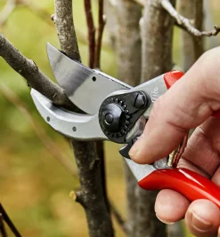Lee Valley Pruners>Felco #2 Classic Pruner
