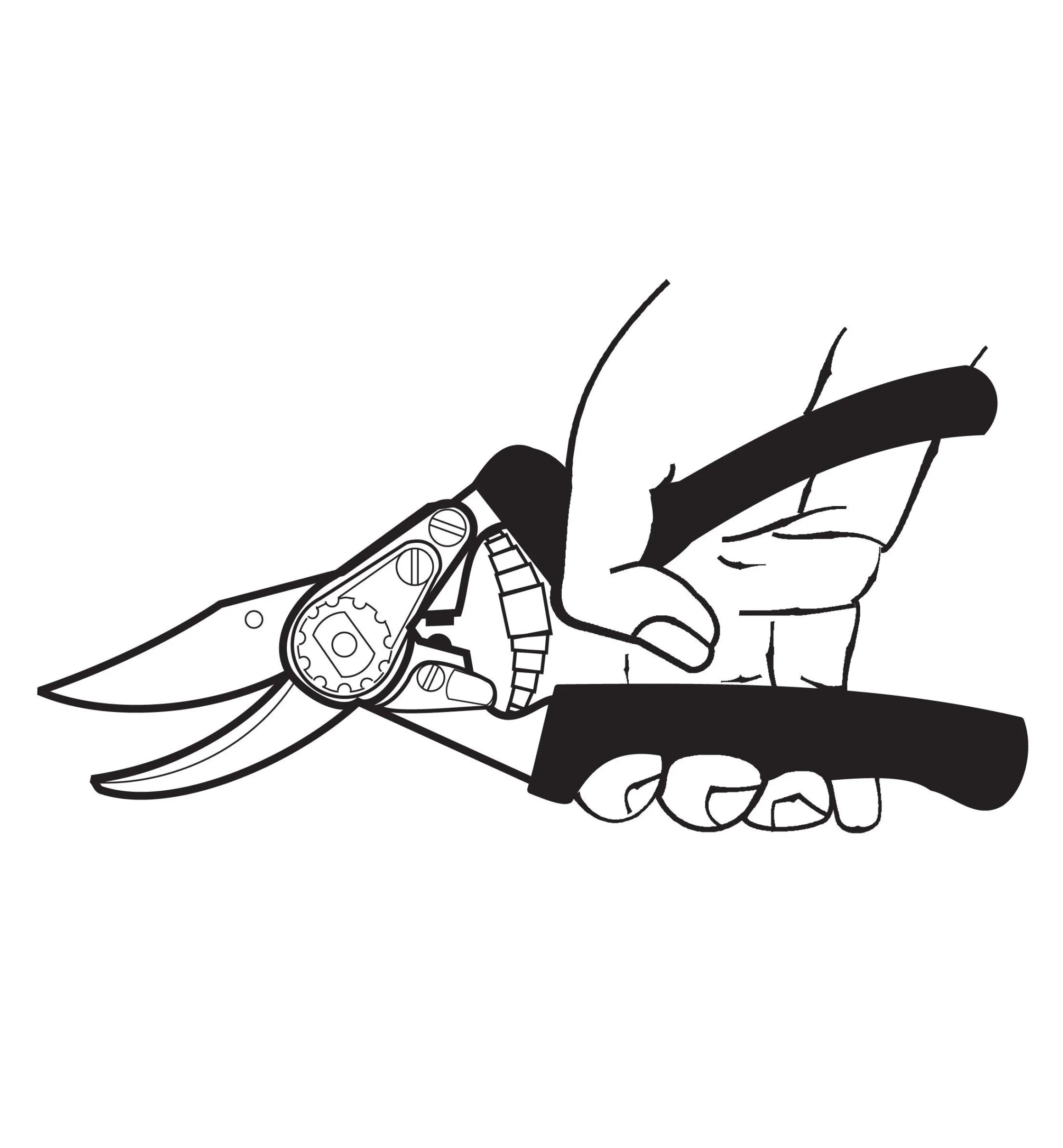 Lee Valley Pruners>Felco #12 Pruner