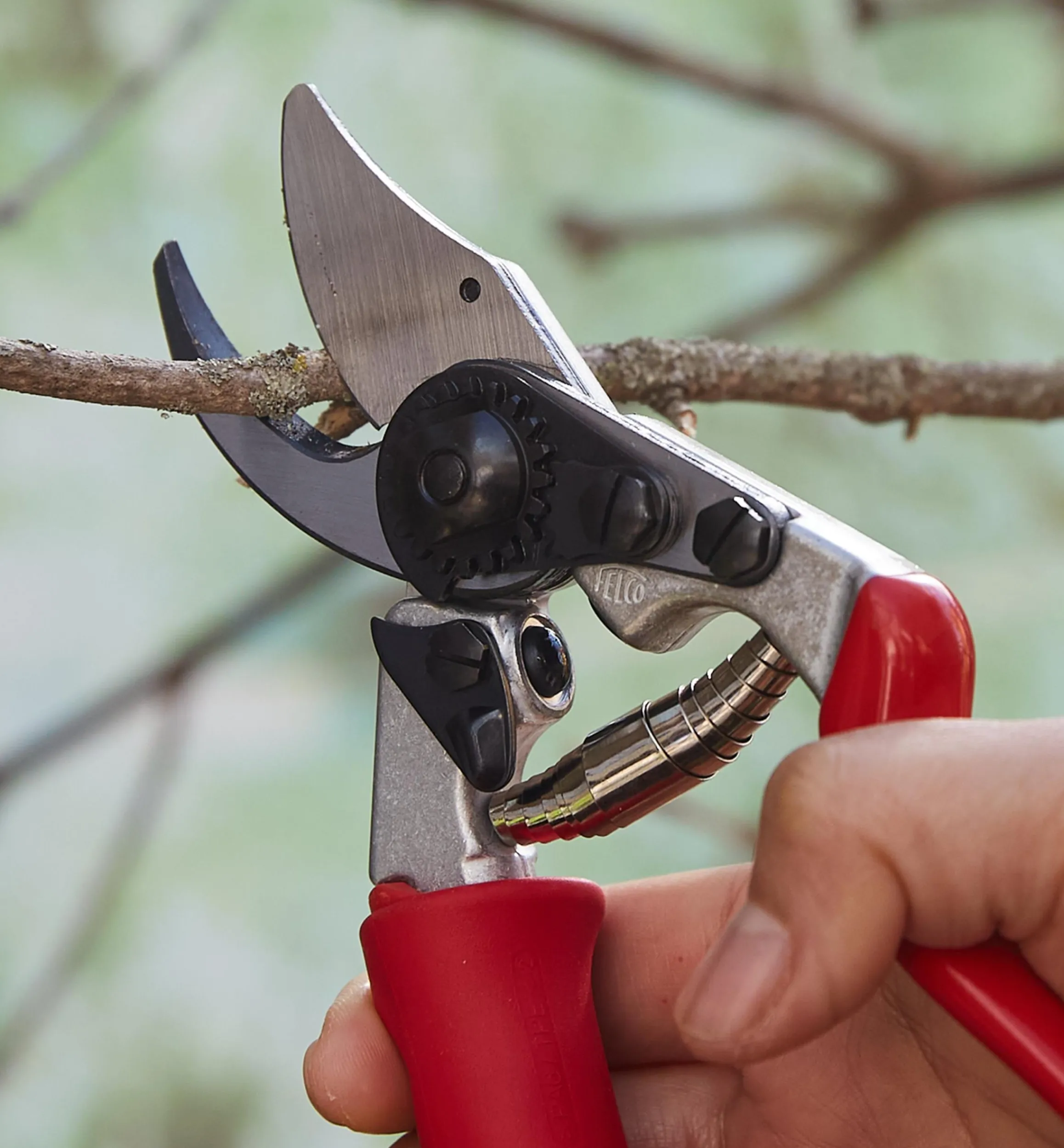 Lee Valley Pruners>Felco #15 Pruner