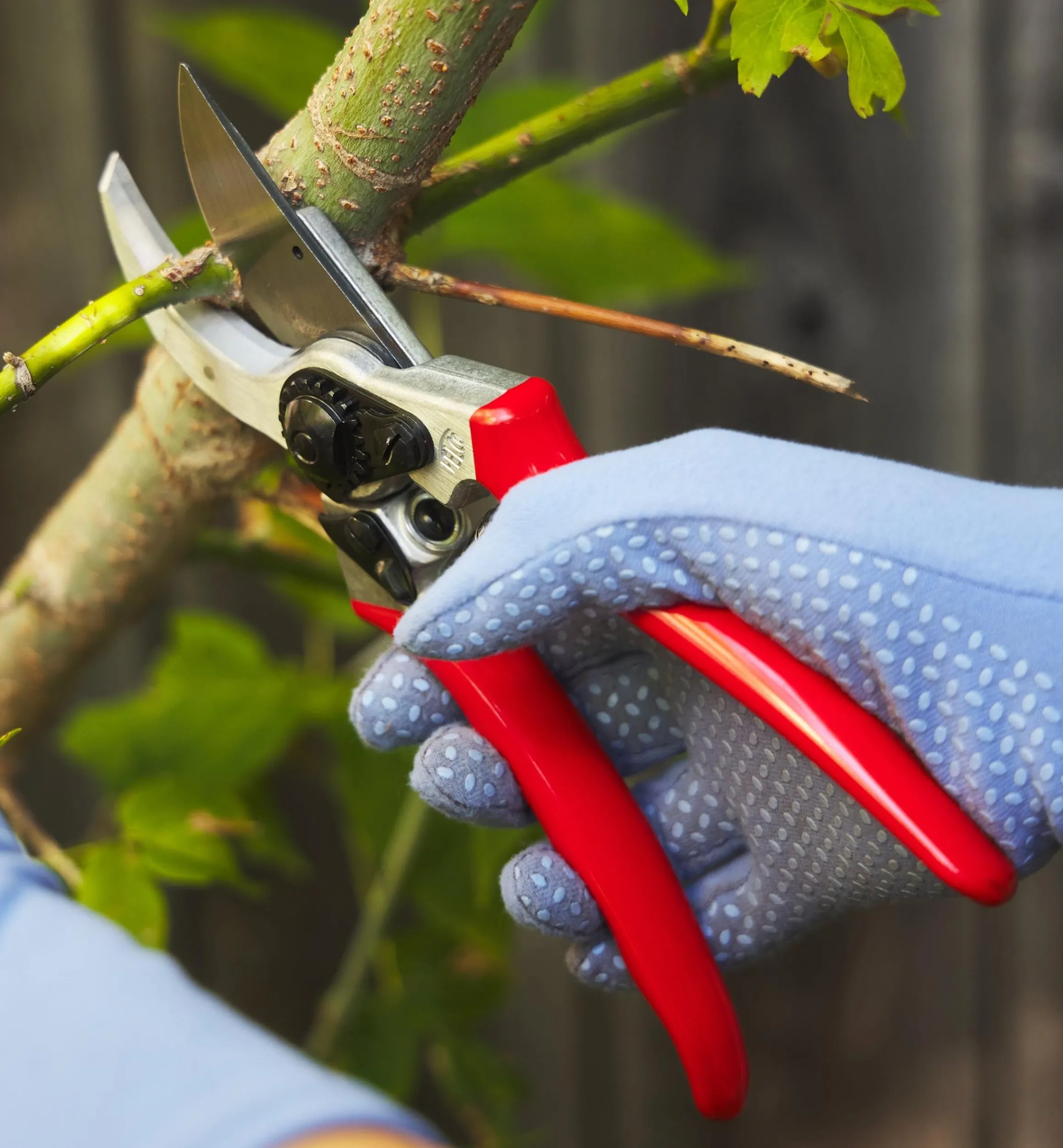 Lee Valley Pruners>Felco Classic #2 Pruner & Pocket Knife