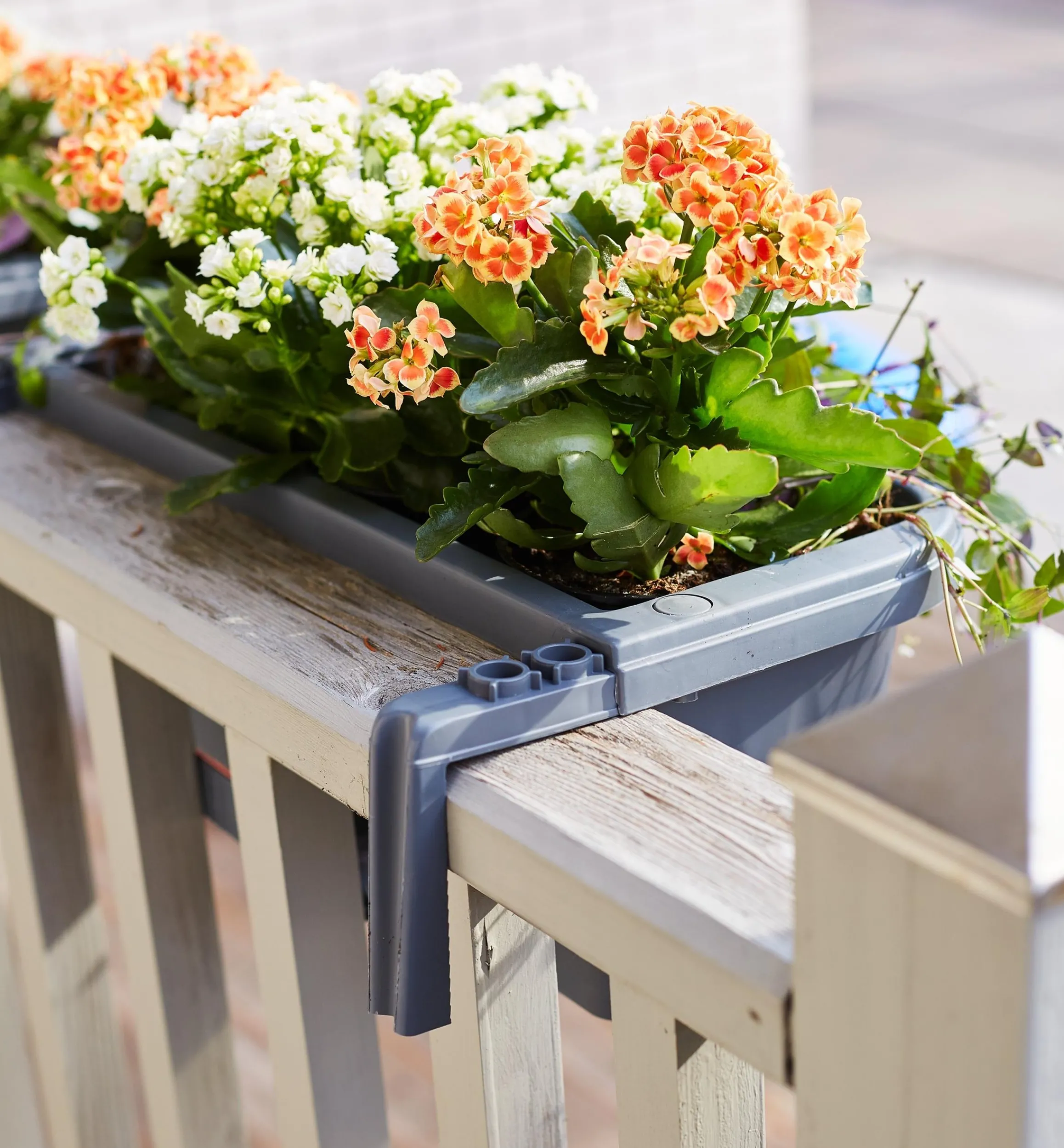 Lee Valley Container Gardening>Fence & Railing Planters