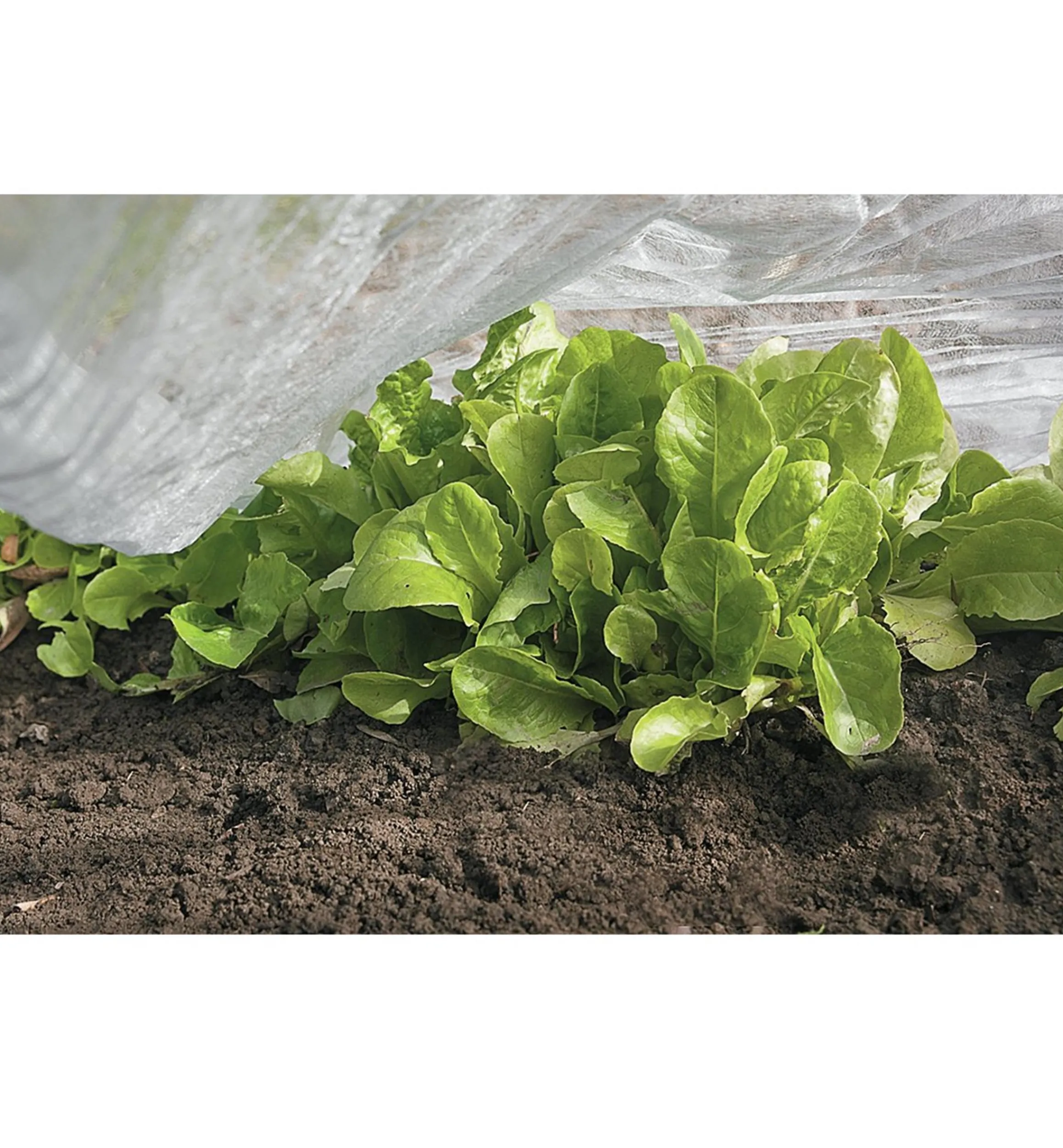 Lee Valley Plant Protection>Floating Row Cover