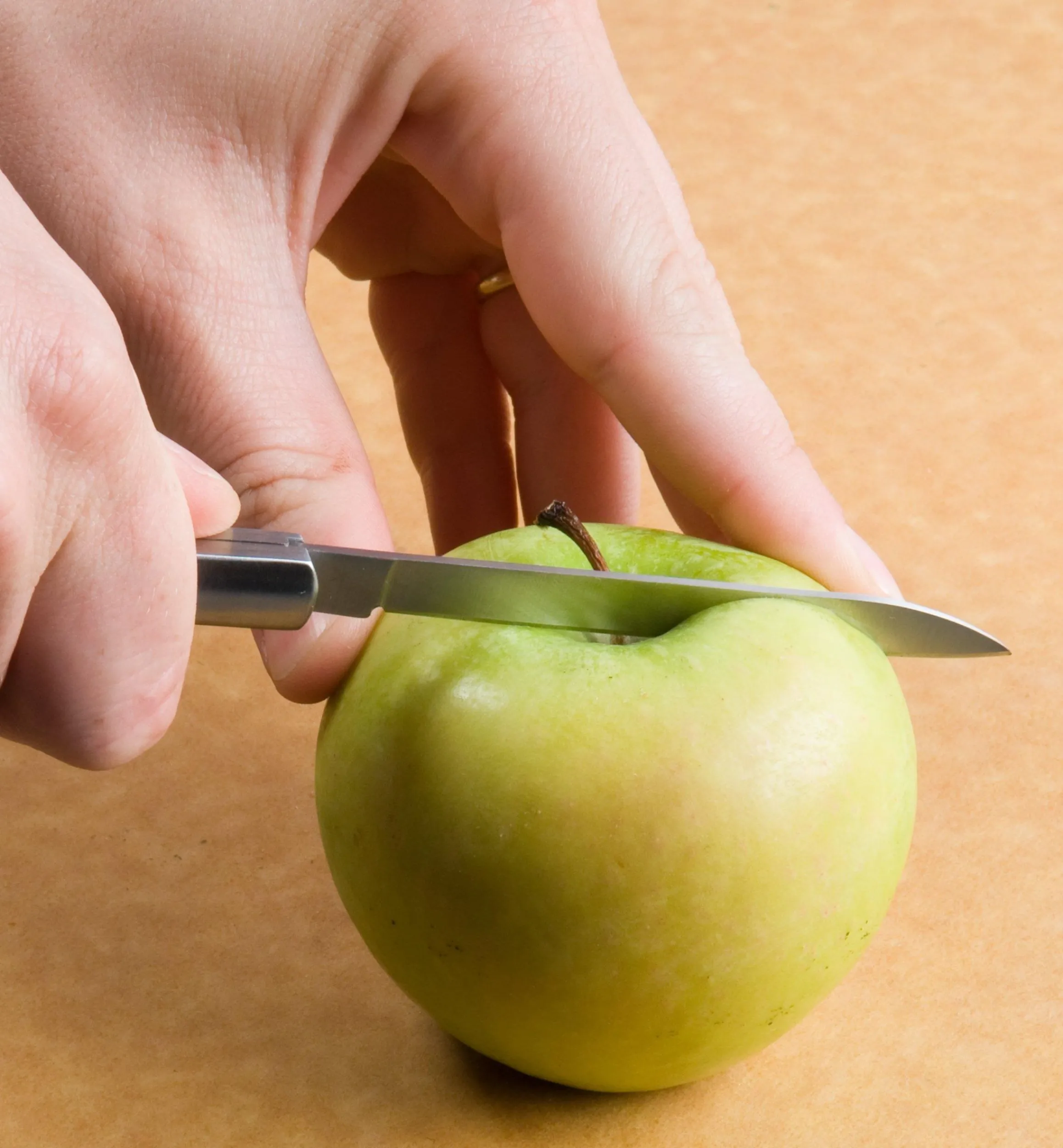 Lee Valley Knives & Cutlery>Folding Fruit Knife
