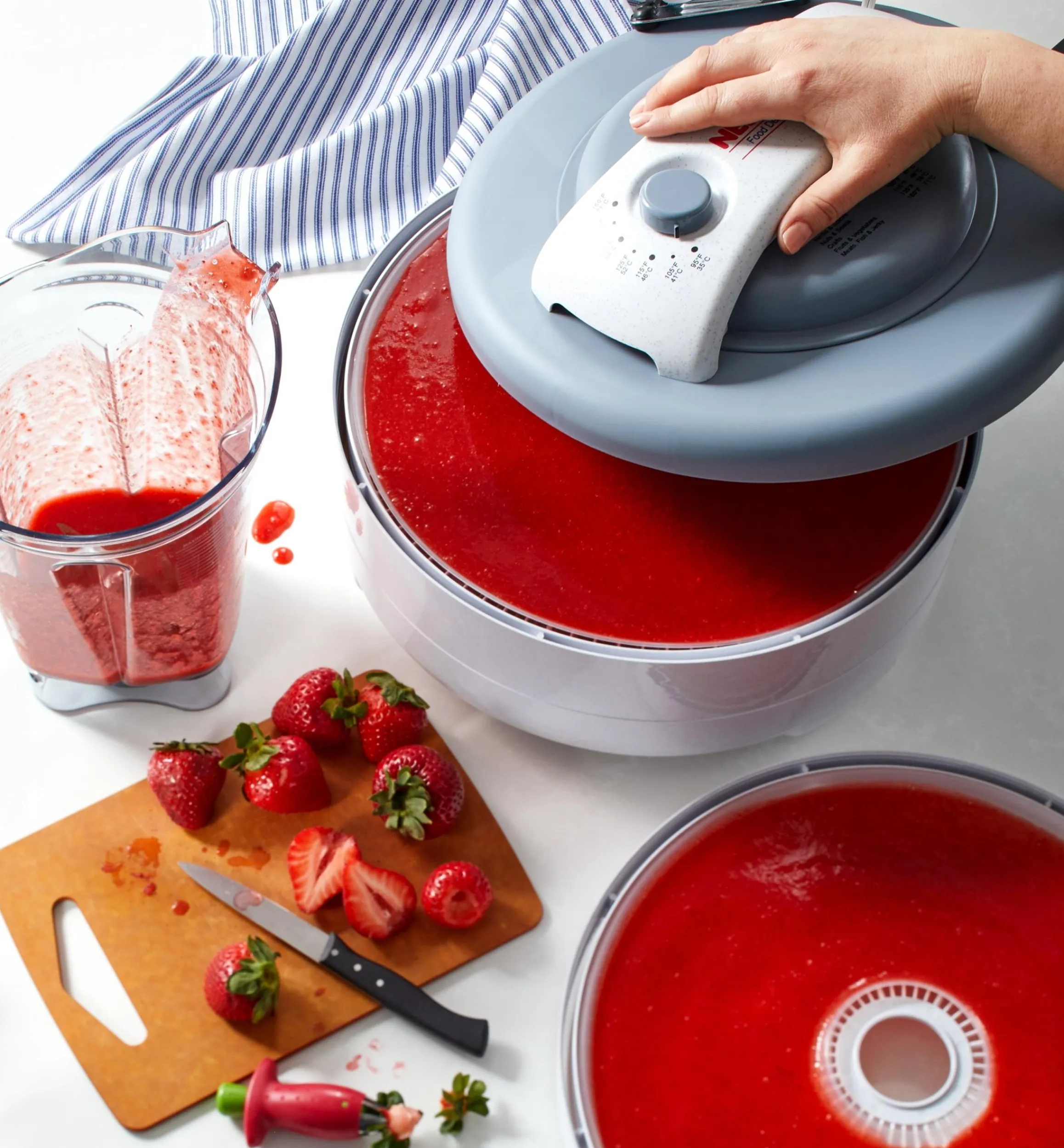 Lee Valley Canning & Preserving>Food Dehydrator