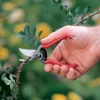 Lee Valley Pruners>Forged Pocket Pruner