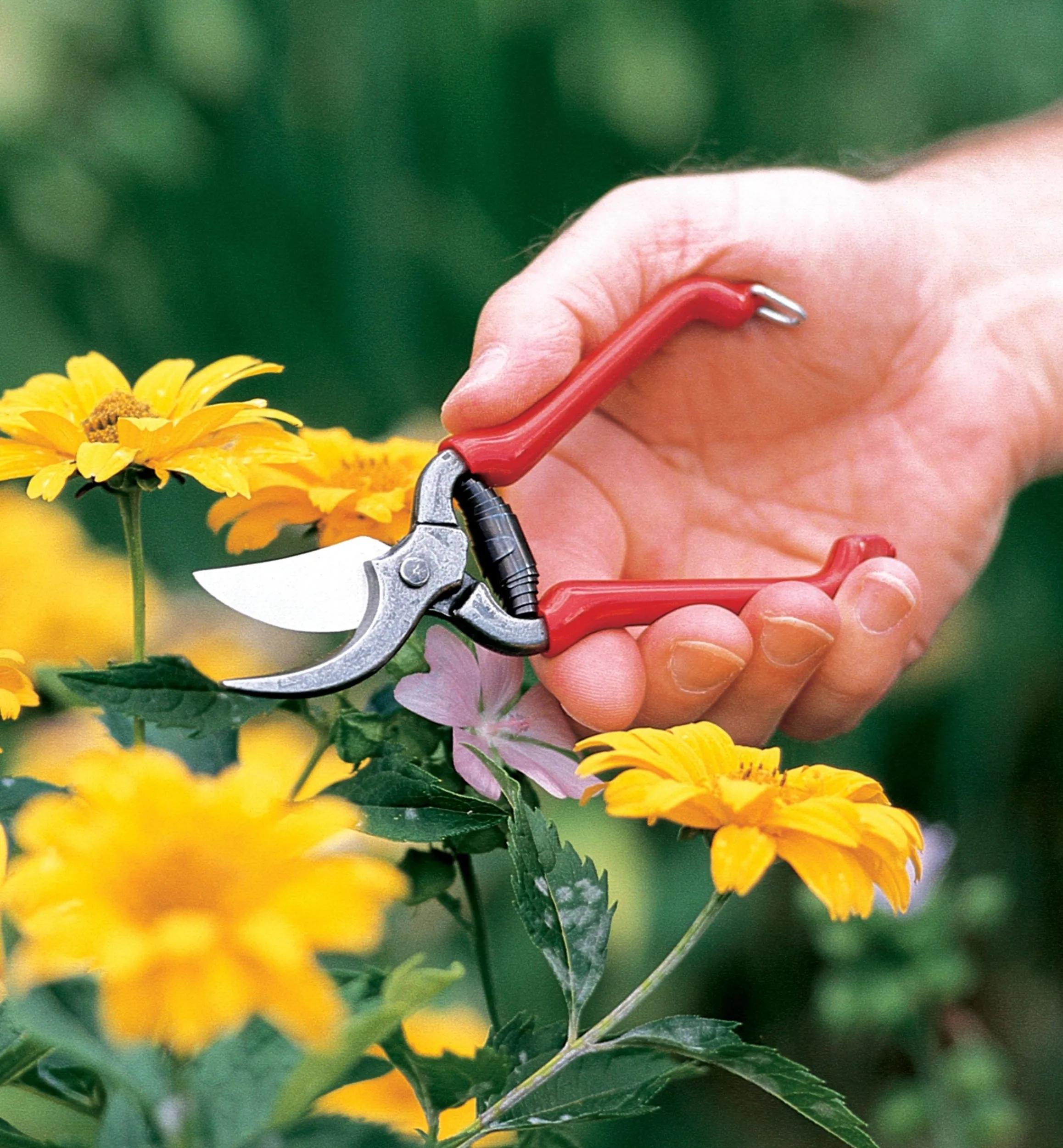 Lee Valley Pruners>Forged Pocket Pruner