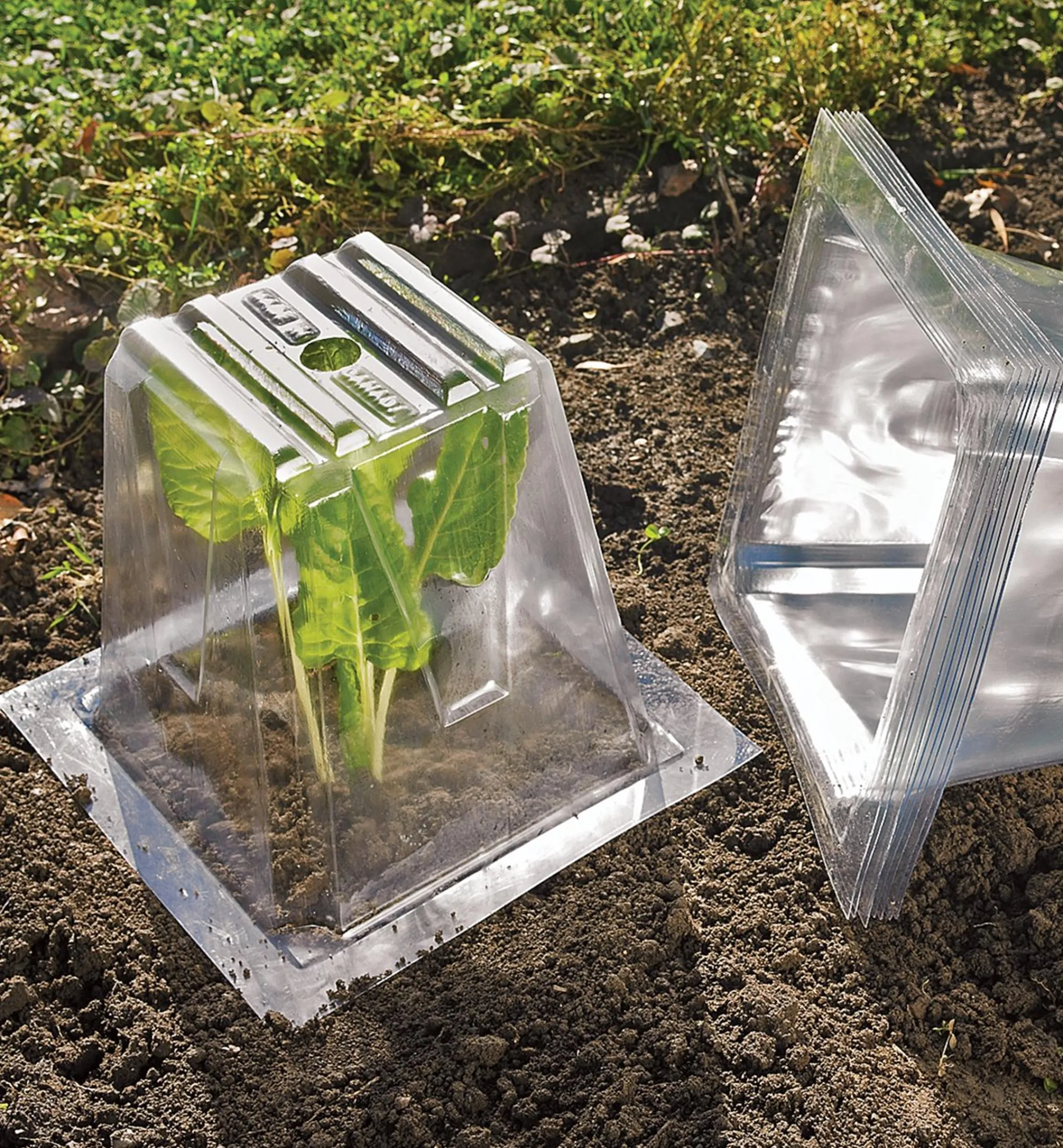 Lee Valley Plant Protection>Garden Cloches