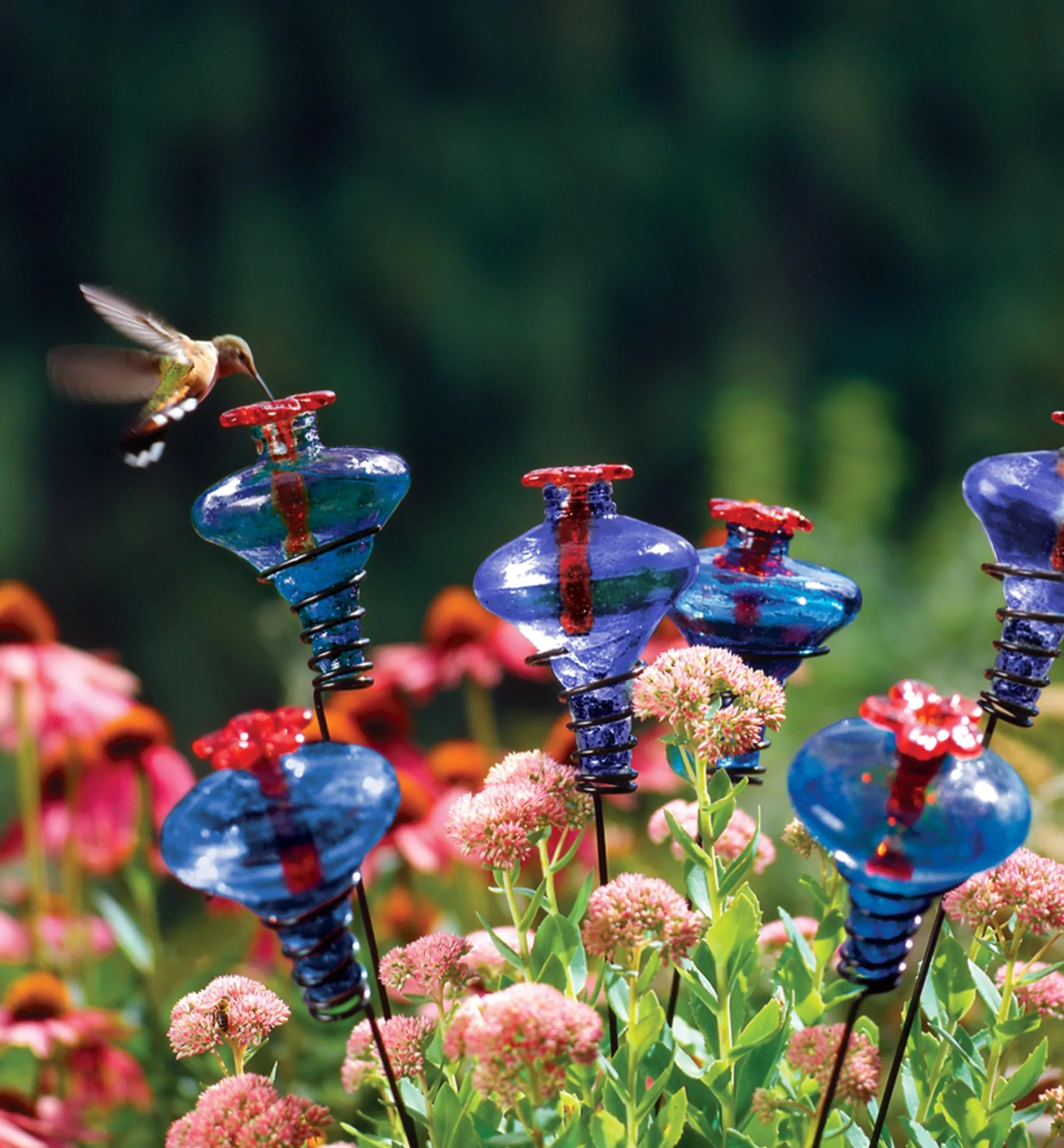 Lee Valley Birding>Glass Flower Hummingbird Feeder