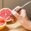 Lee Valley Knives & Cutlery>Grapefruit Knife