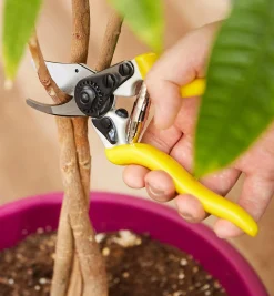 Lee Valley Pruners><noscript><img width=
