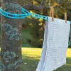Lee Valley Laundry>Hook-Anywhere Clothesline