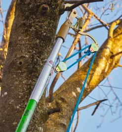 Lee Valley Pruners><noscript><img width=