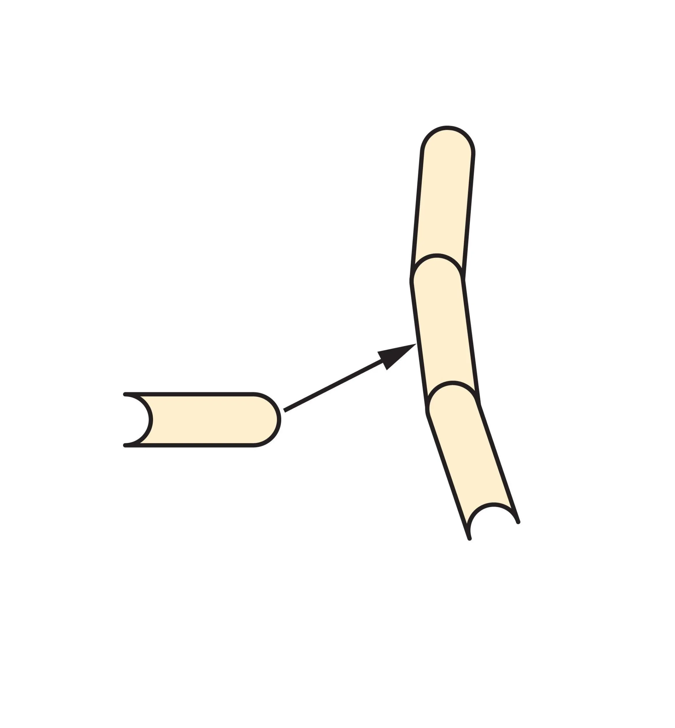 Lee Valley Routing>Large-Diameter Flute And Bead Bits