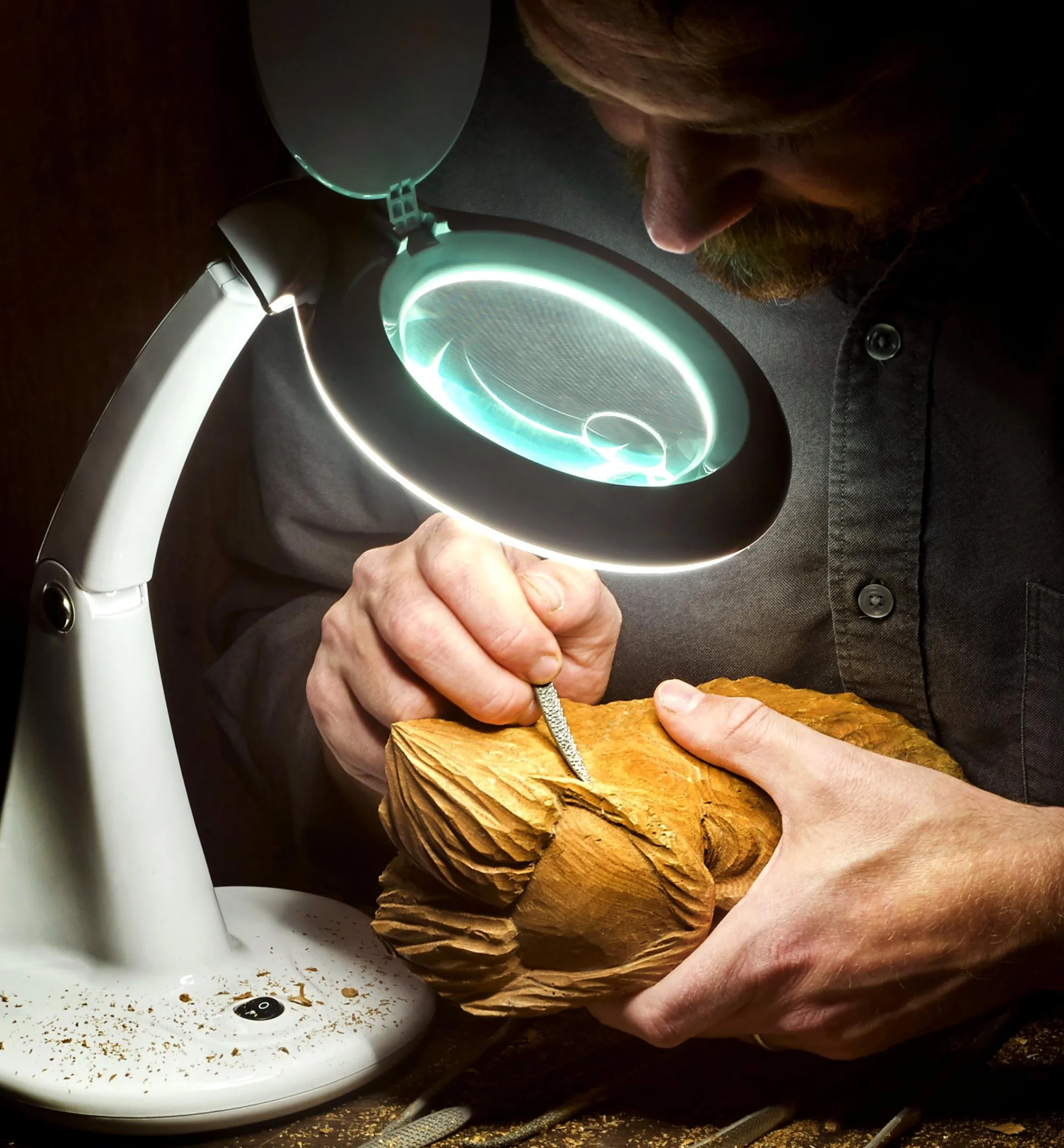 Lee Valley Lighting>LED Tabletop Magnifying Lamp
