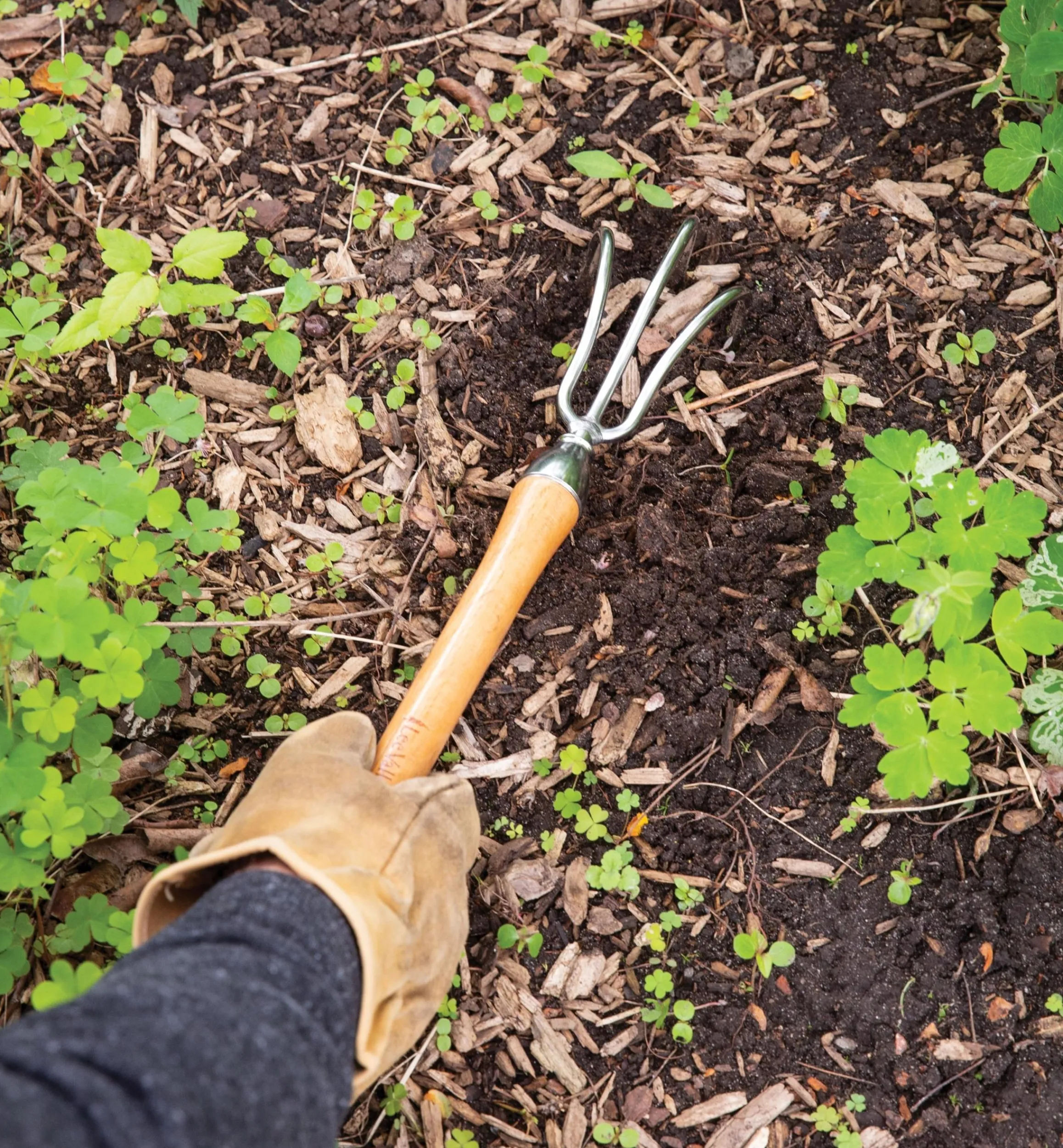 Lee Valley Weeding>Mid-Length Three-Prong Cultivator