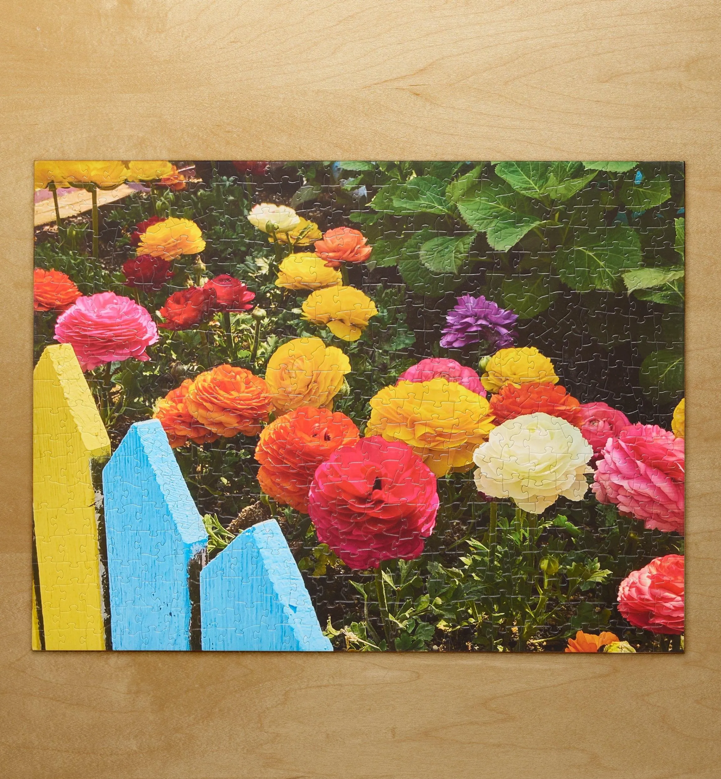 Lee Valley Toys & Games>Puzzles (2024)