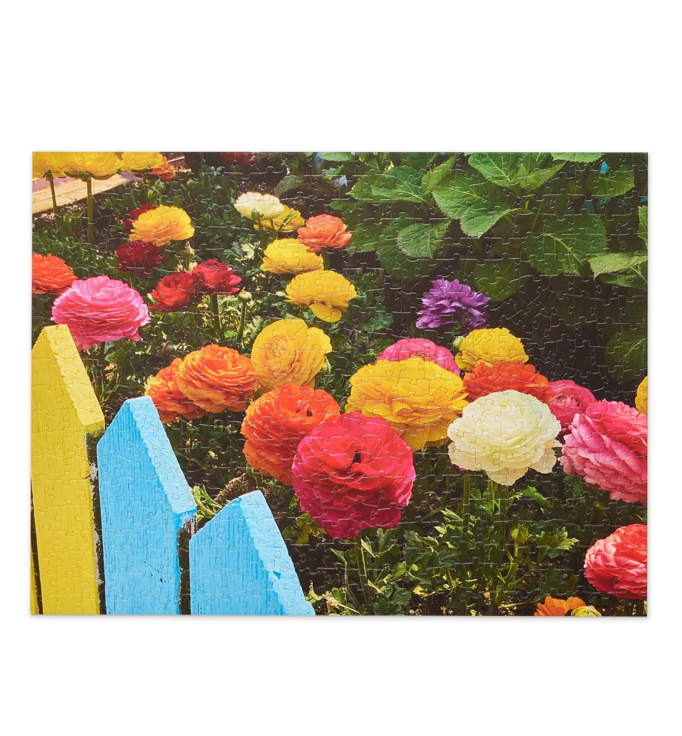 Lee Valley Toys & Games>Puzzles (2024)