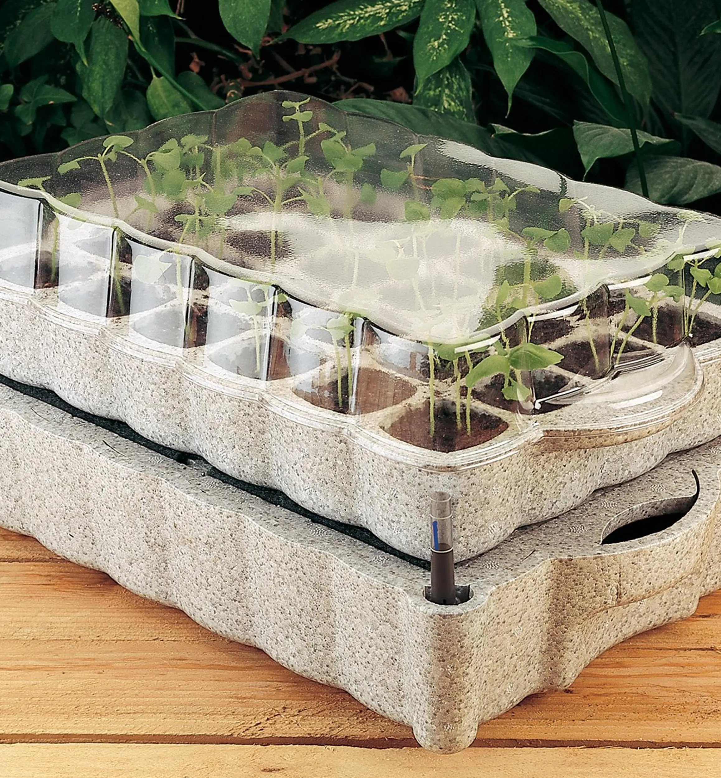 Lee Valley Seed Starting>Self-Watering Seed Starter