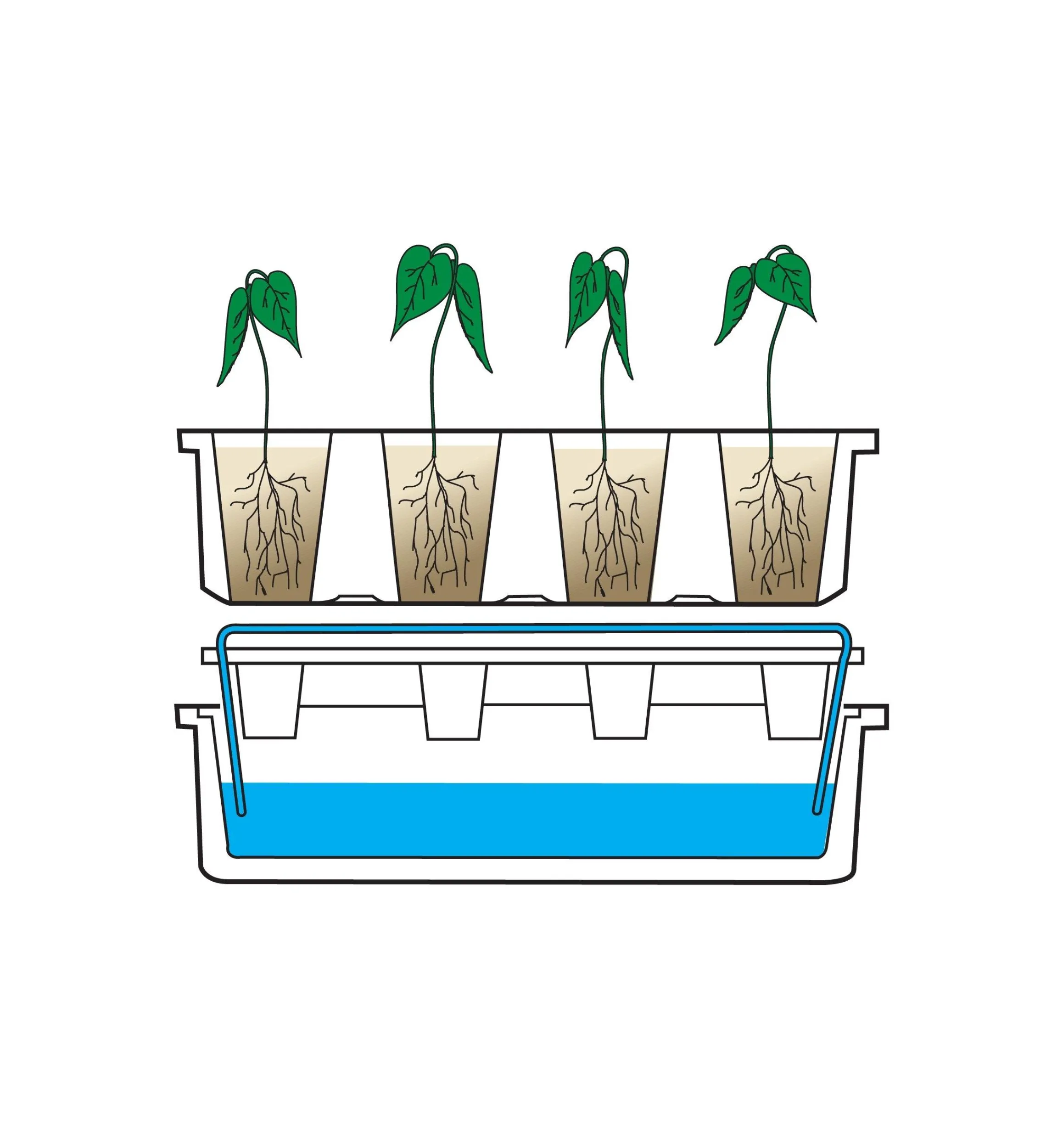 Lee Valley Seed Starting>Self-Watering Seed Starter