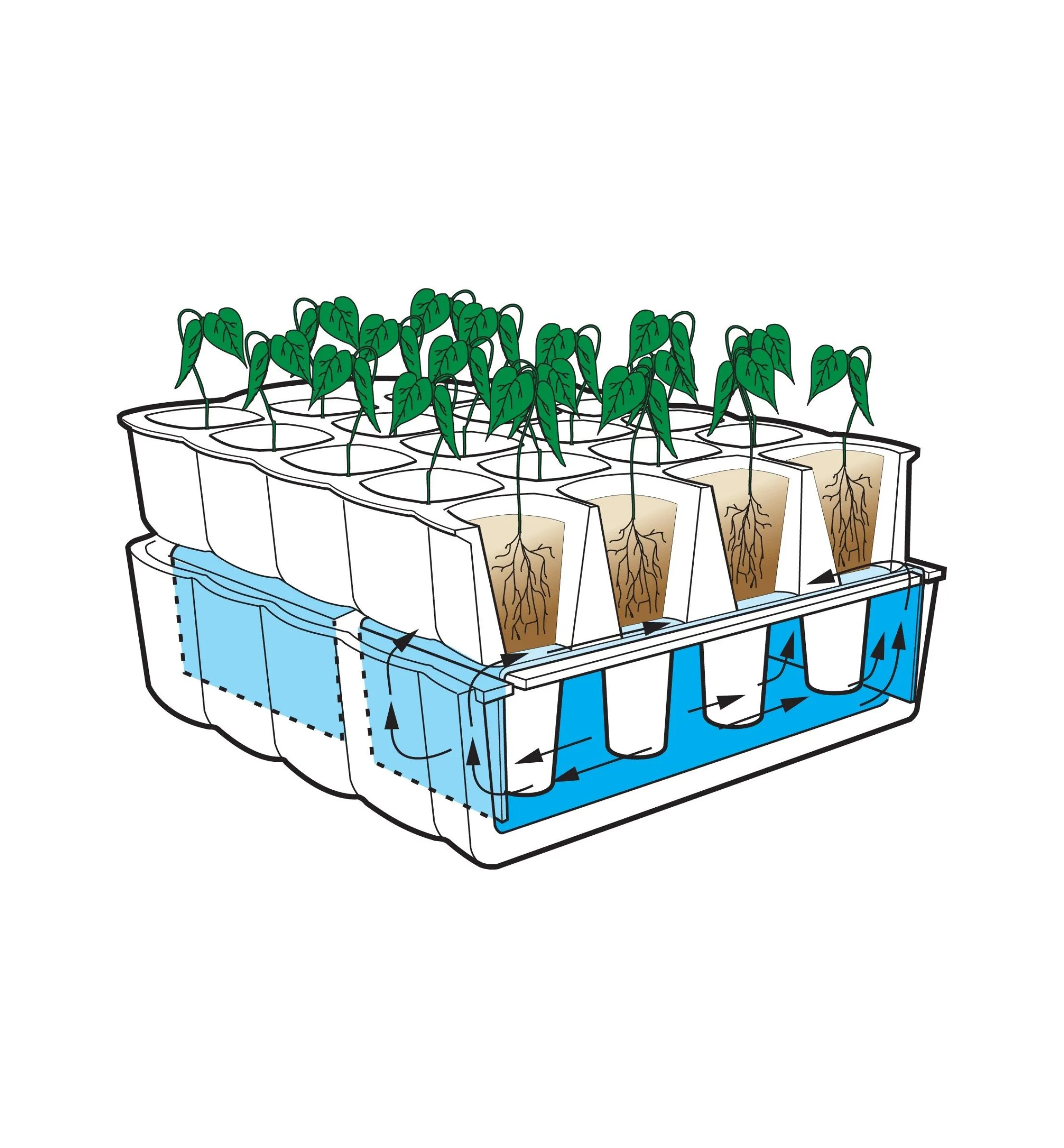 Lee Valley Seed Starting>Self-Watering Seed Starter