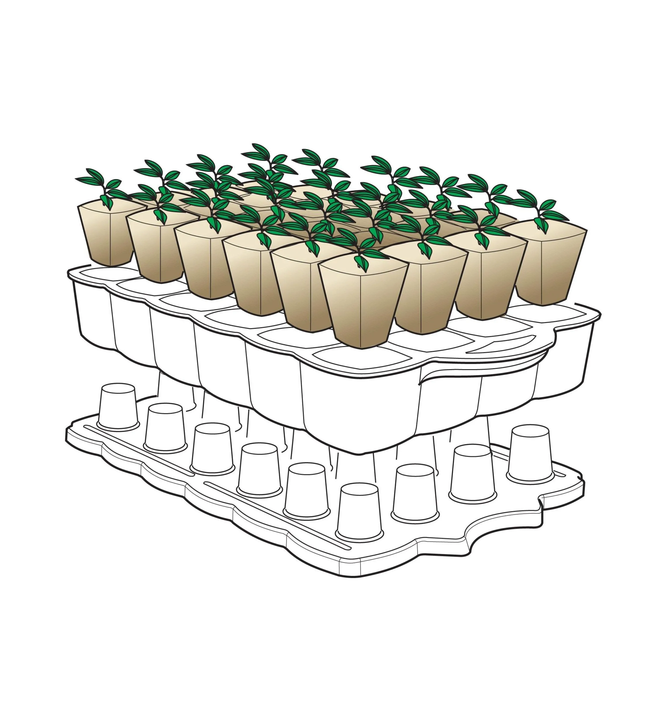 Lee Valley Seed Starting>Self-Watering Seed Starter