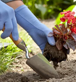 Lee Valley Trowels>Trowel