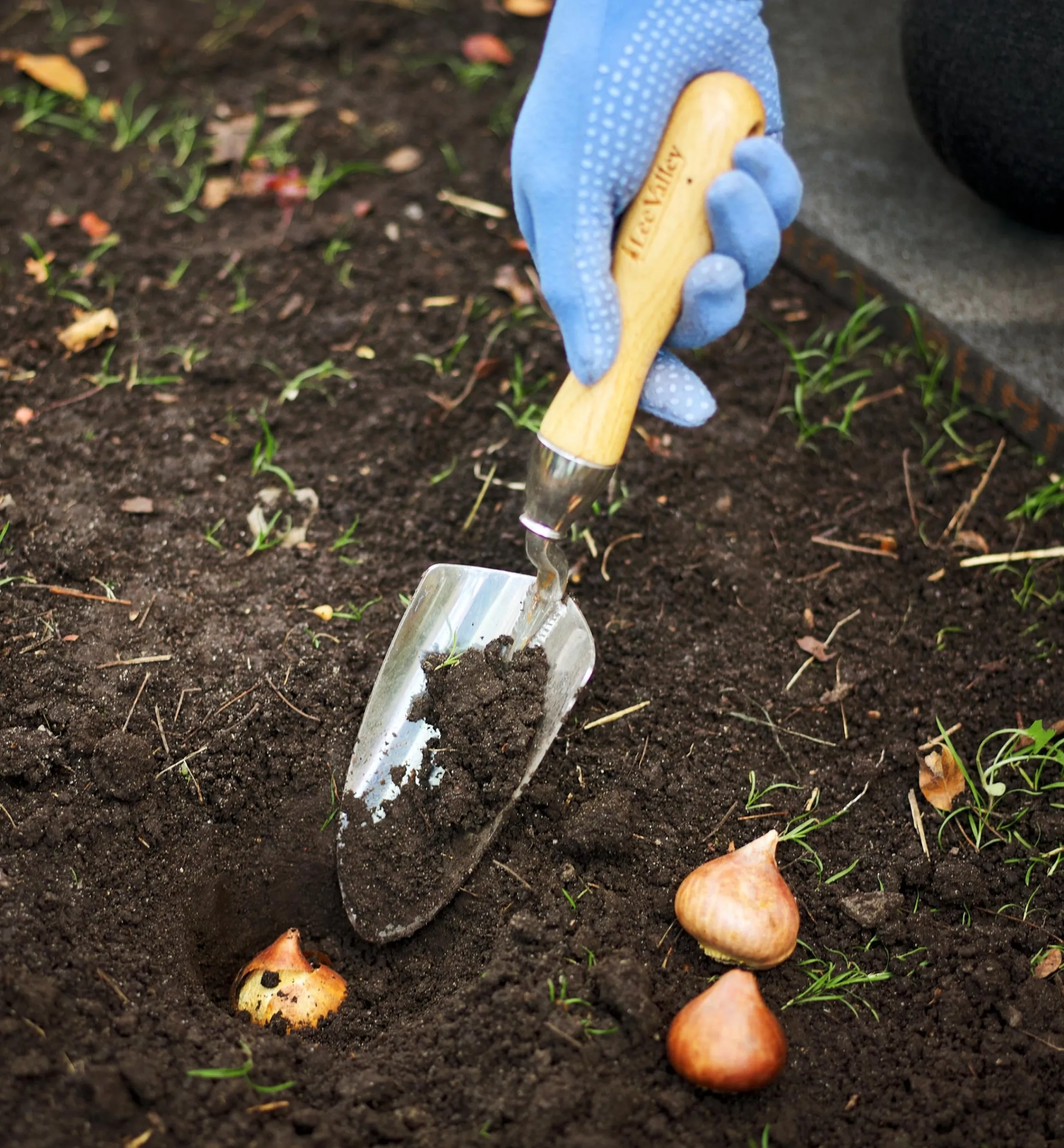 Lee Valley Trowels>Trowel