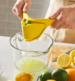 Lee Valley Mashers & Presses>Lemon & Lime Juicer