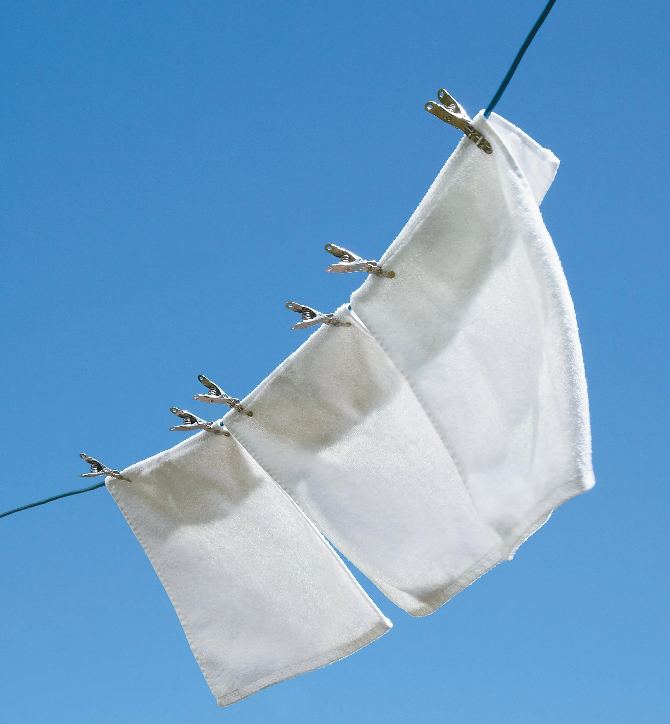 Lee Valley Laundry>Lifetime Clothespins