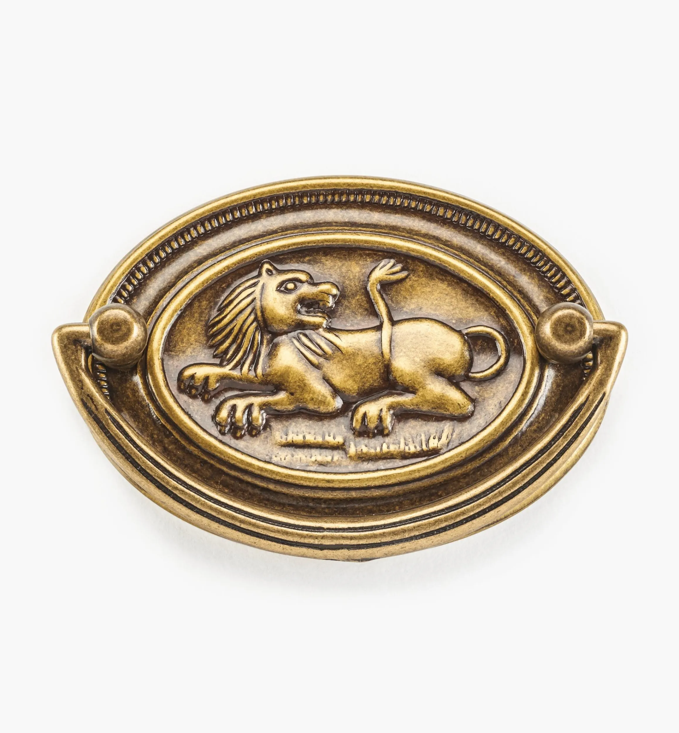 Lee Valley Pulls>Lion Plate Pulls