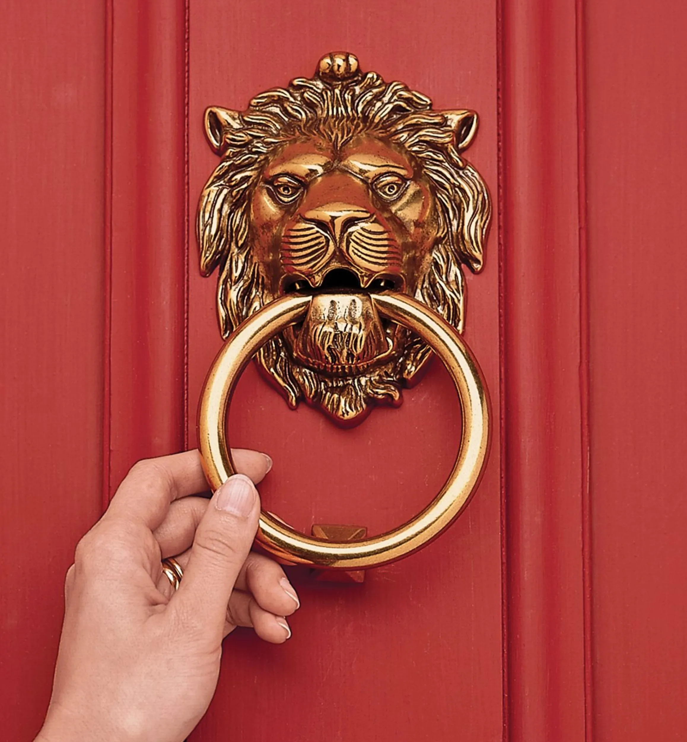 Lee Valley Architectural Hardware>Lion's Head Knocker