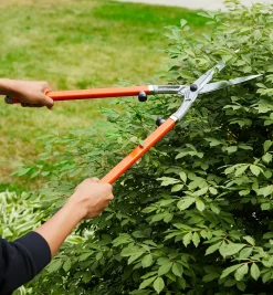 Lee Valley Garden Care><noscript><img width=